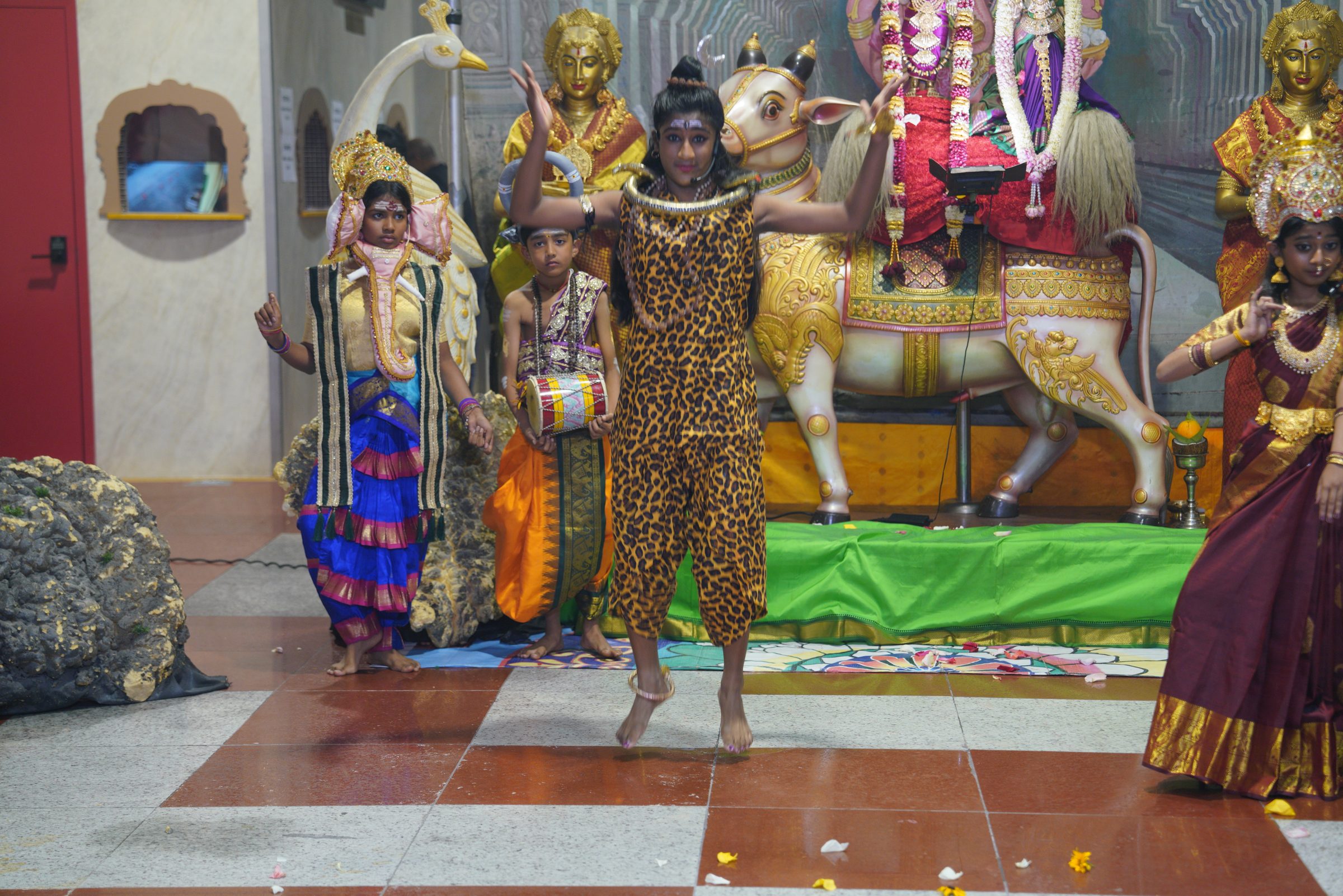 Festival 2026 photo