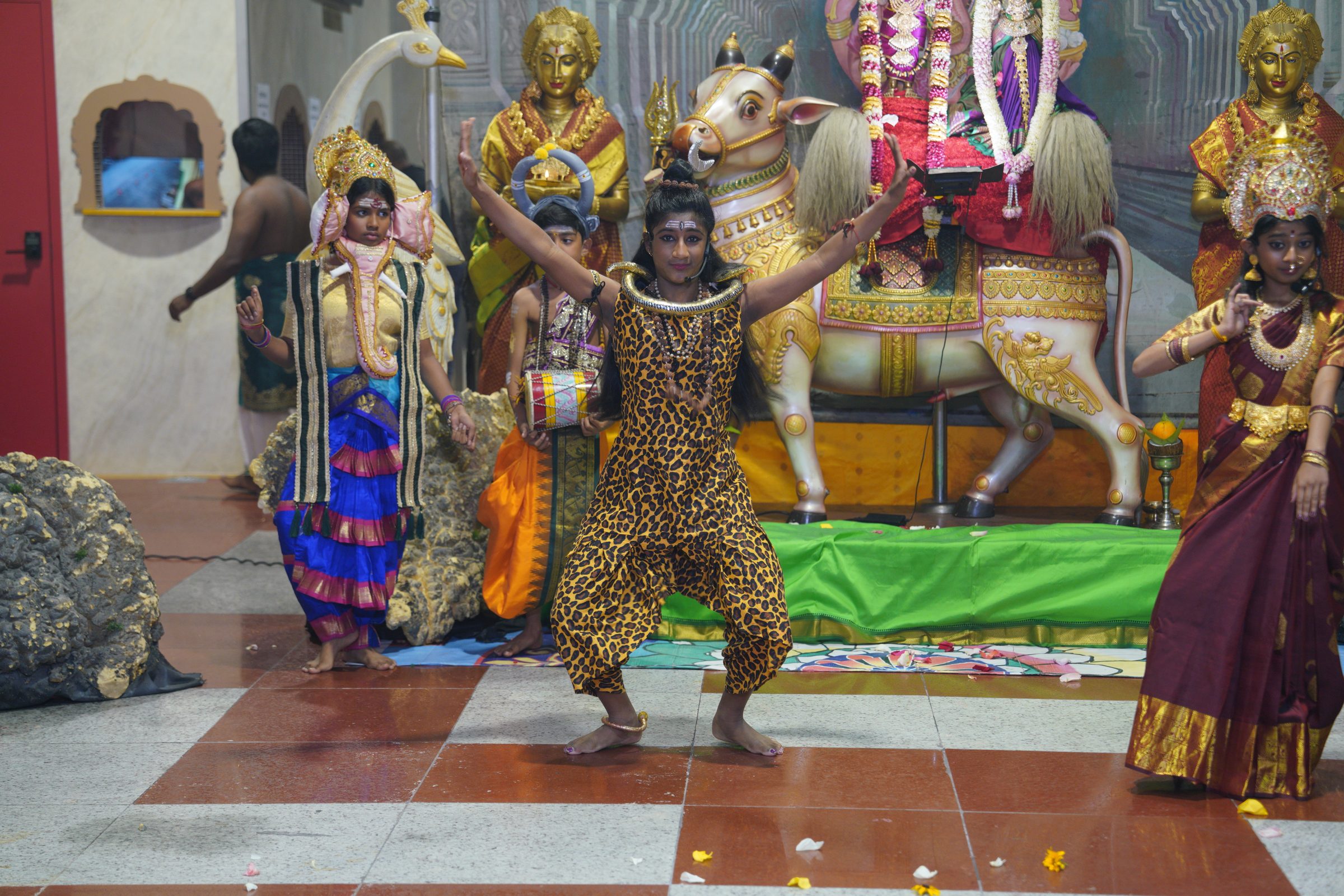 Festival 2026 photo