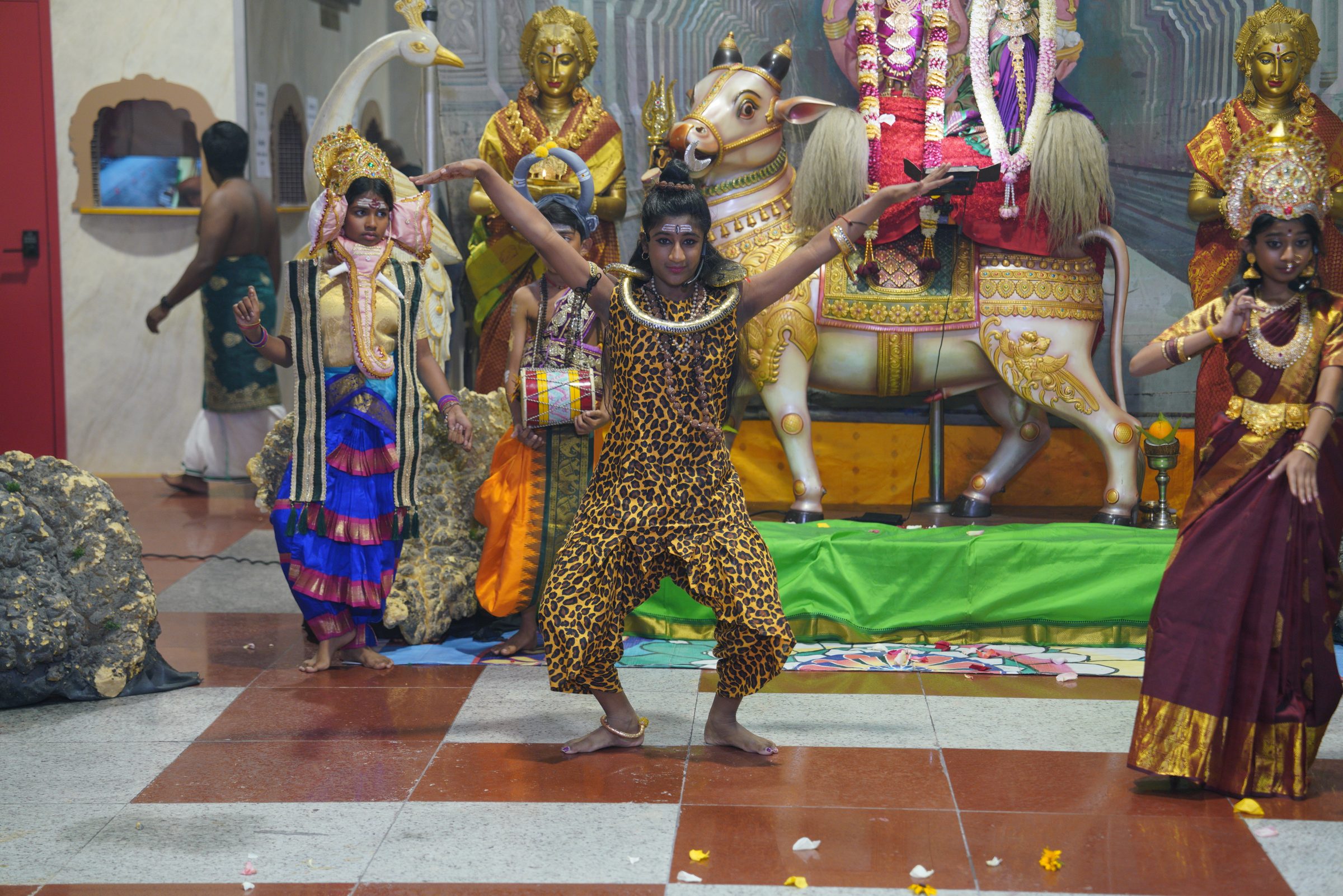 Festival 2026 photo