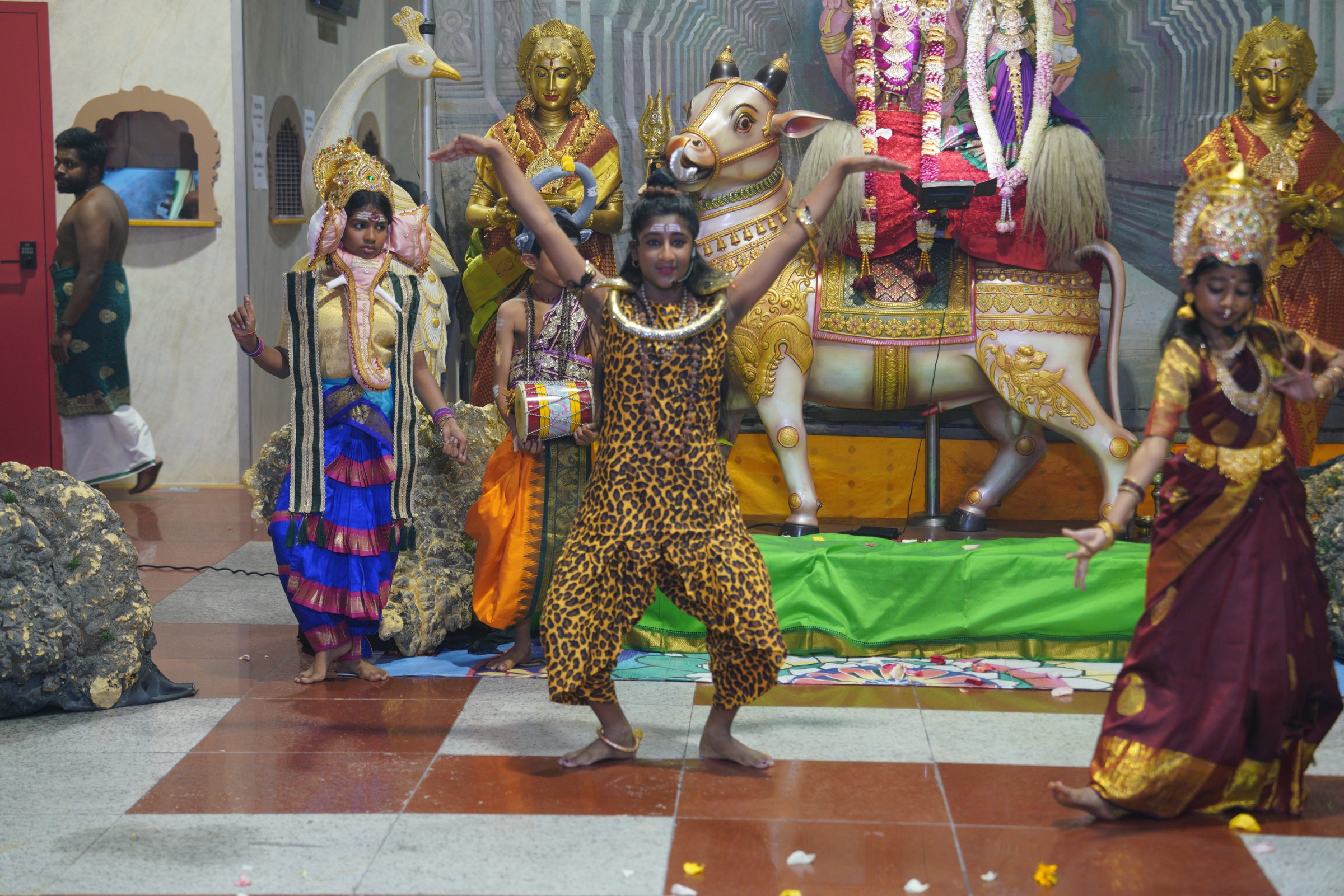 Festival 2026 photo