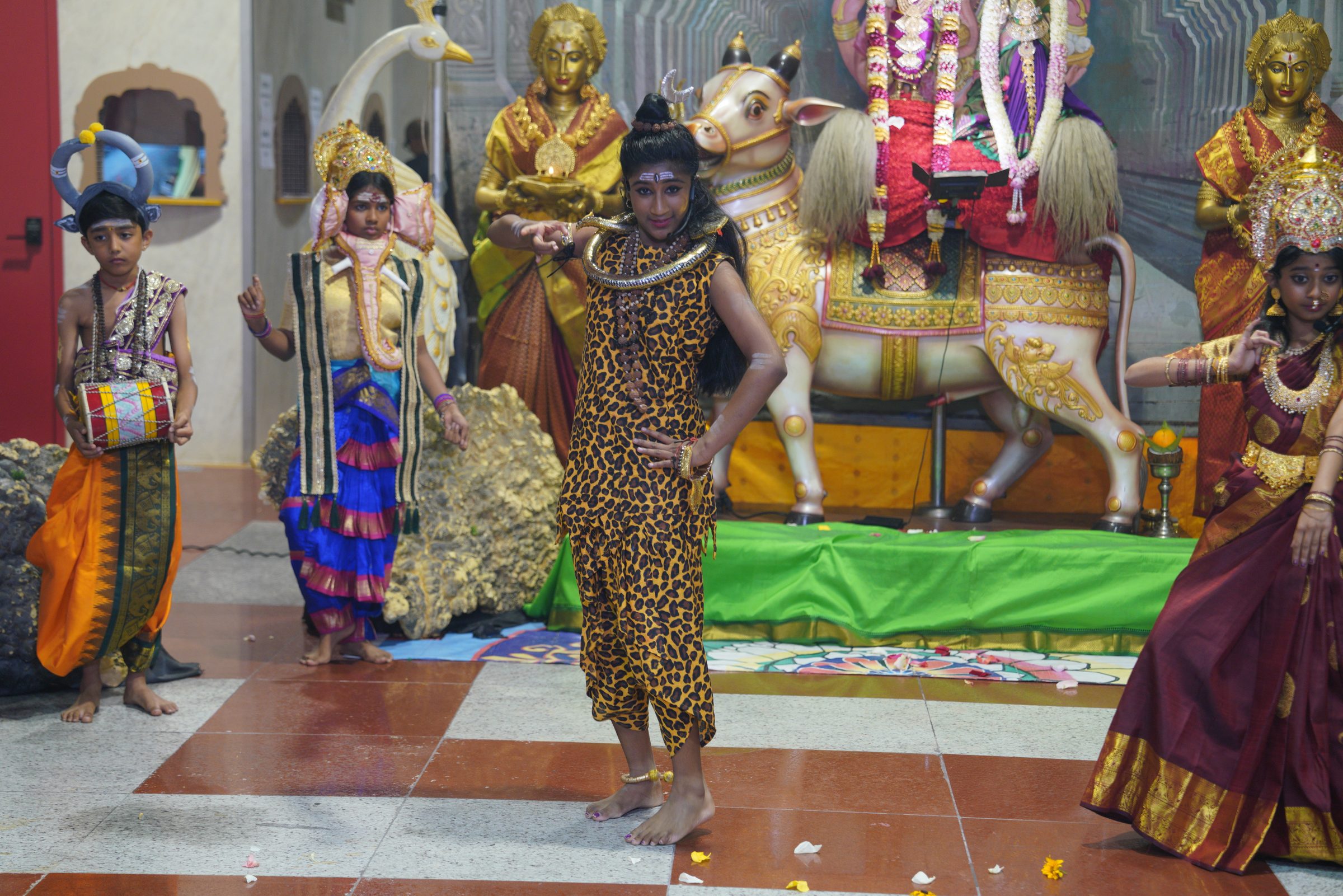 Festival 2026 photo