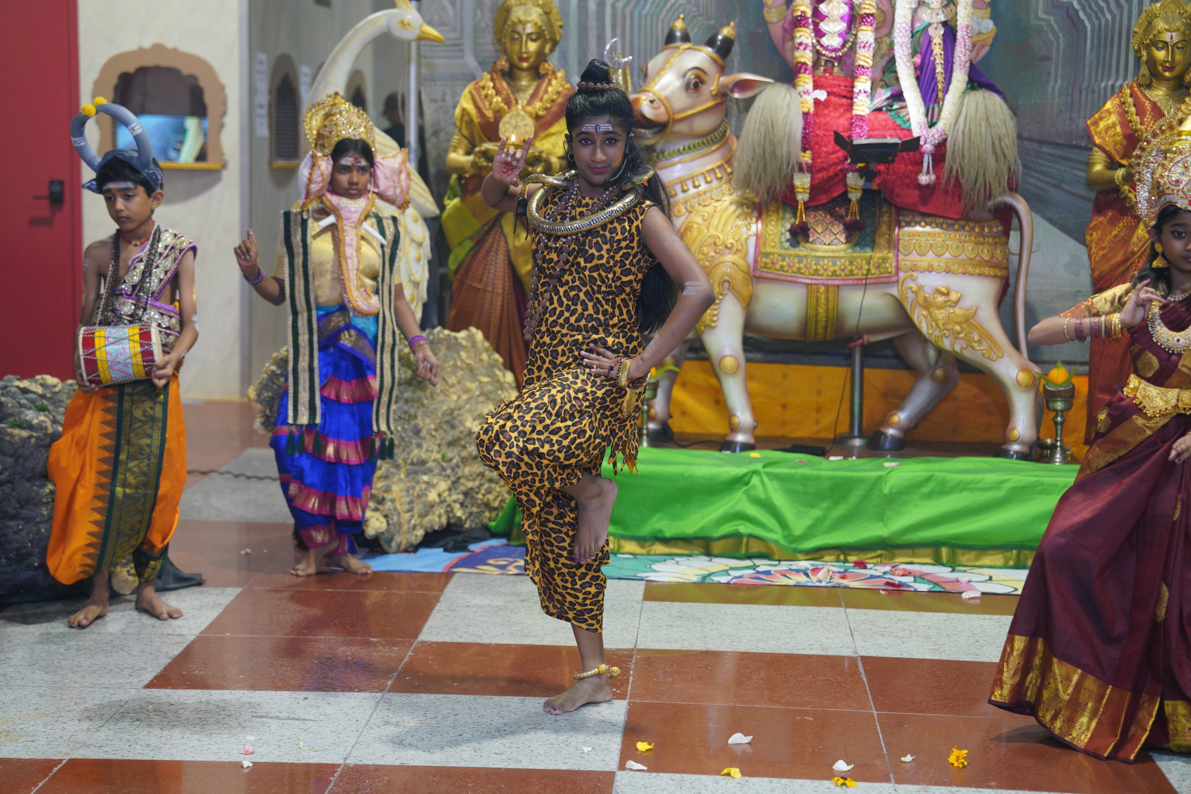 Festival 2026 photo