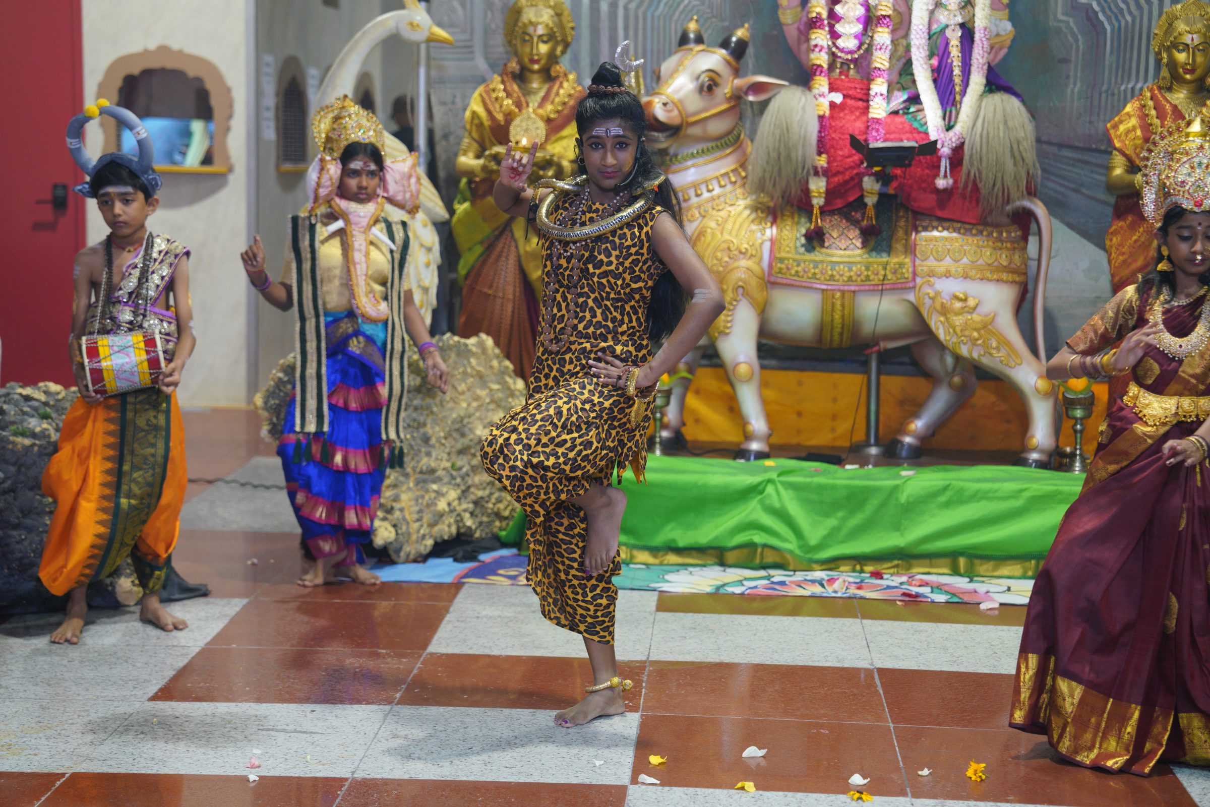 Festival 2026 photo