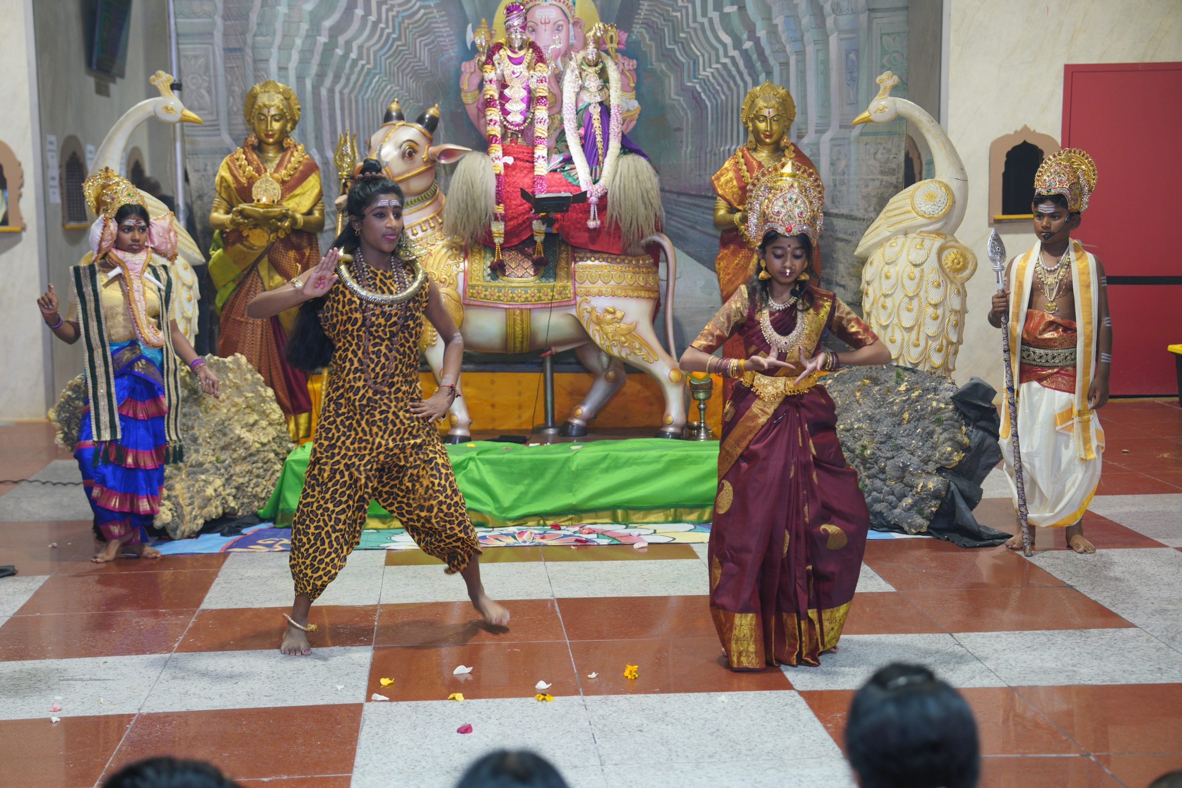 Festival 2026 photo