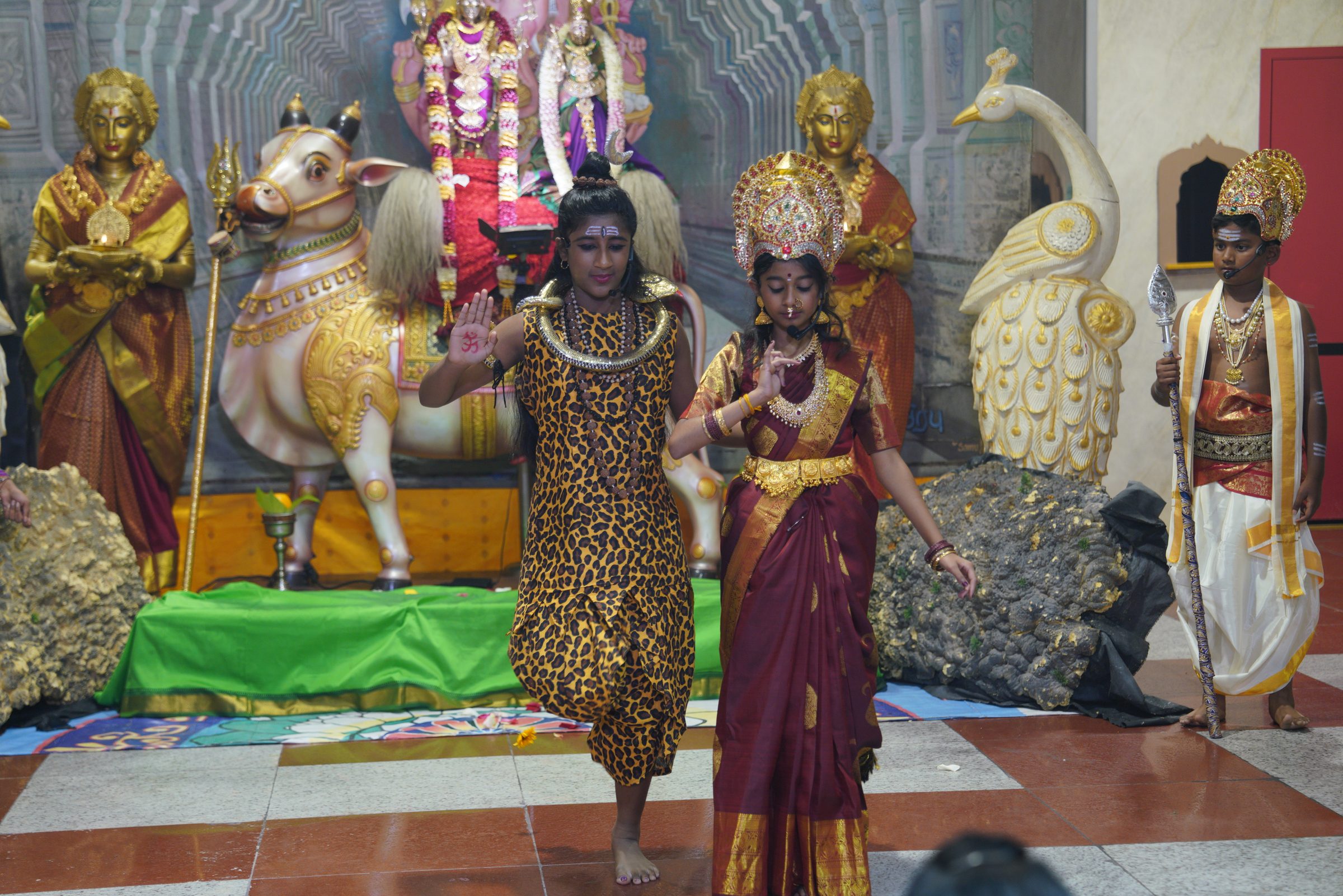 Festival 2026 photo