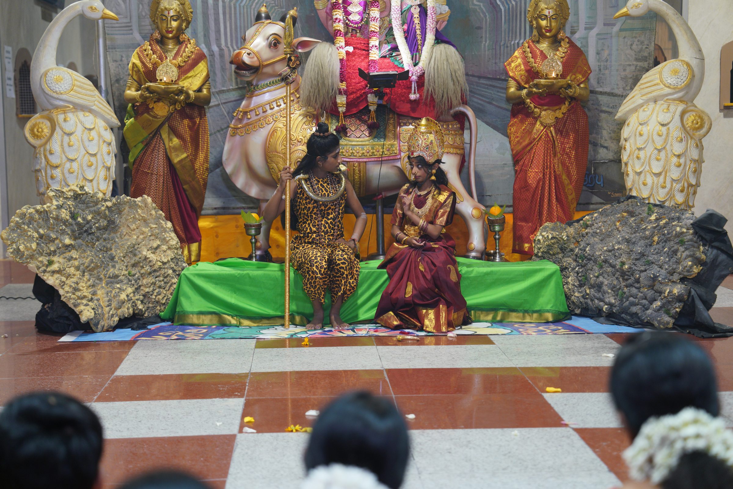 Festival 2026 photo
