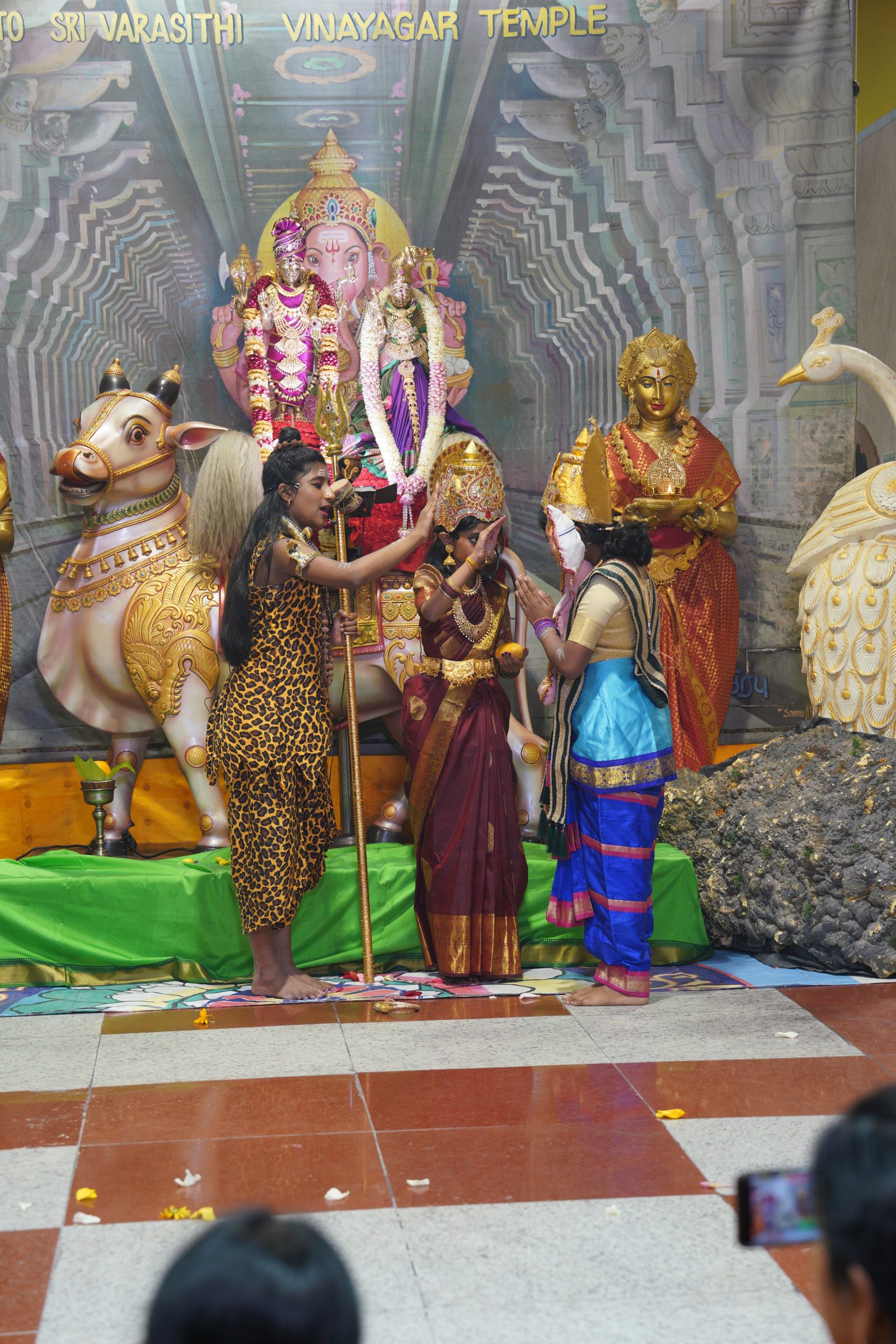 Festival 2026 photo