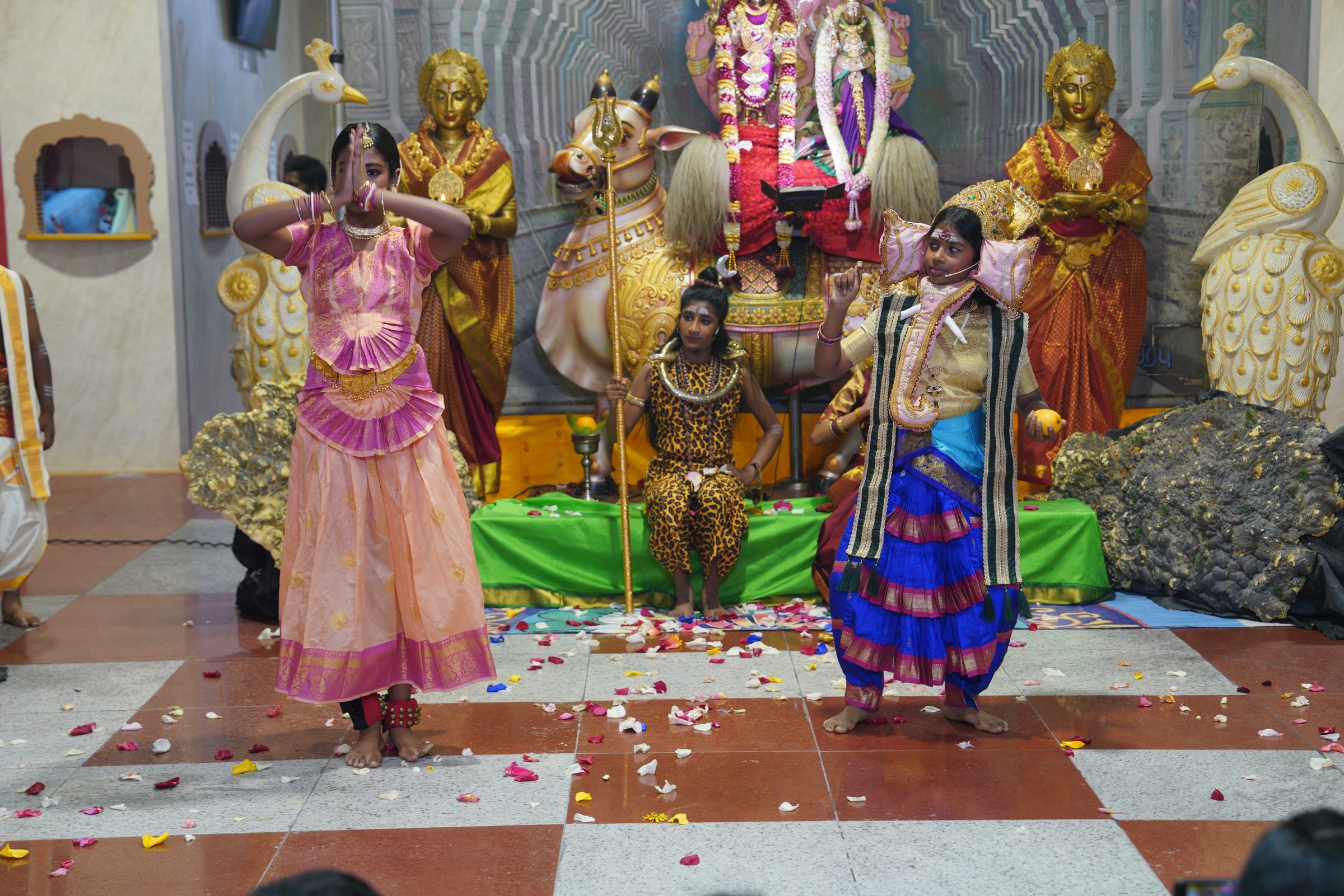 Festival 2026 photo