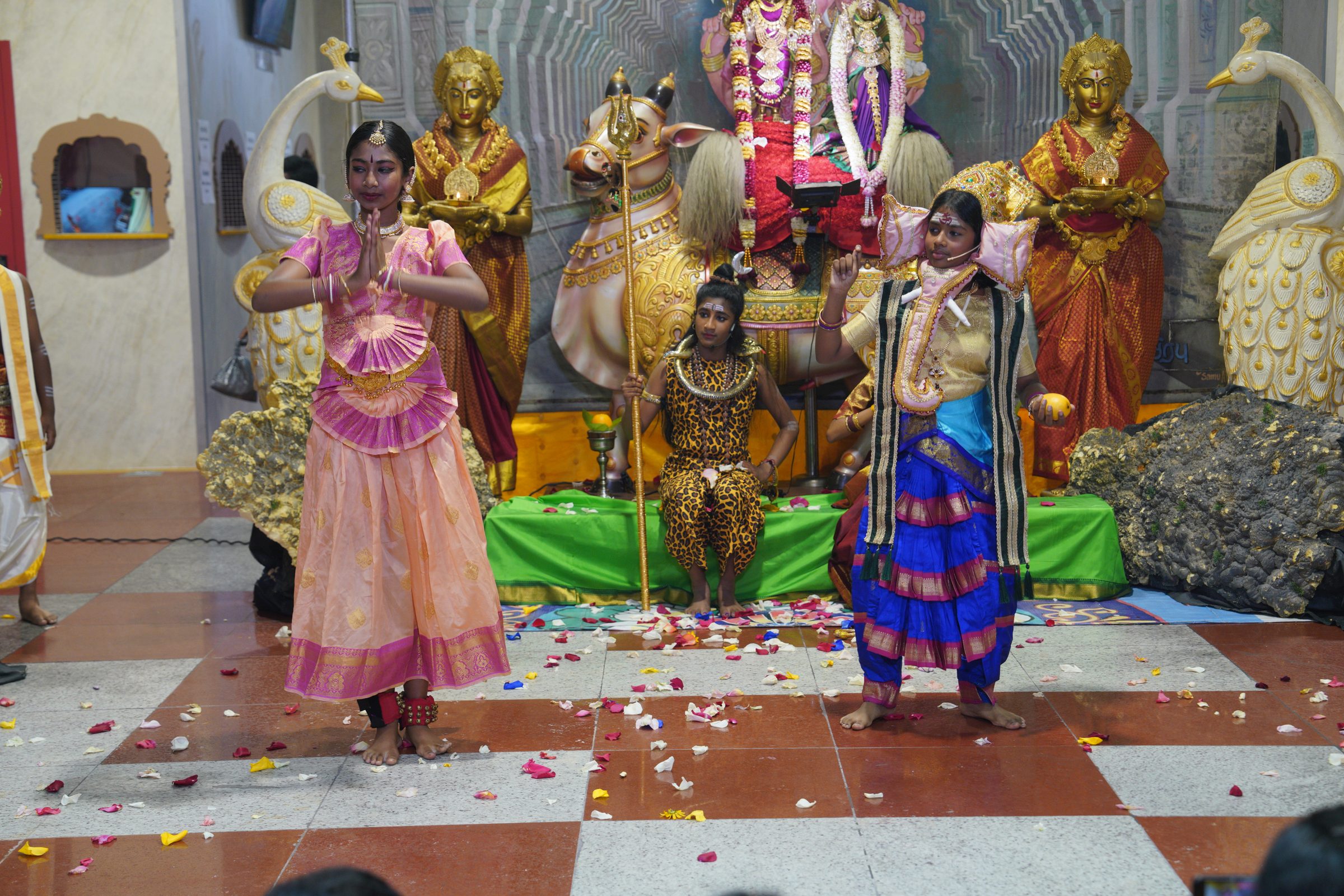 Festival 2026 photo