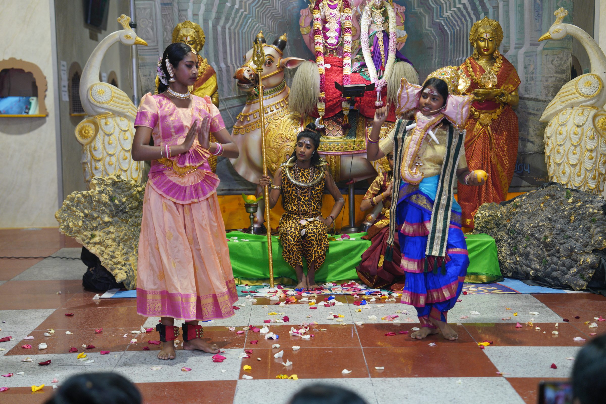 Festival 2026 photo