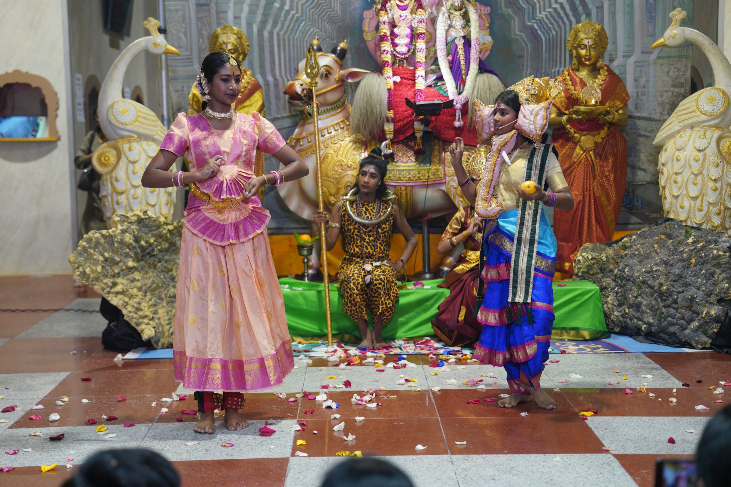 Festival 2026 photo