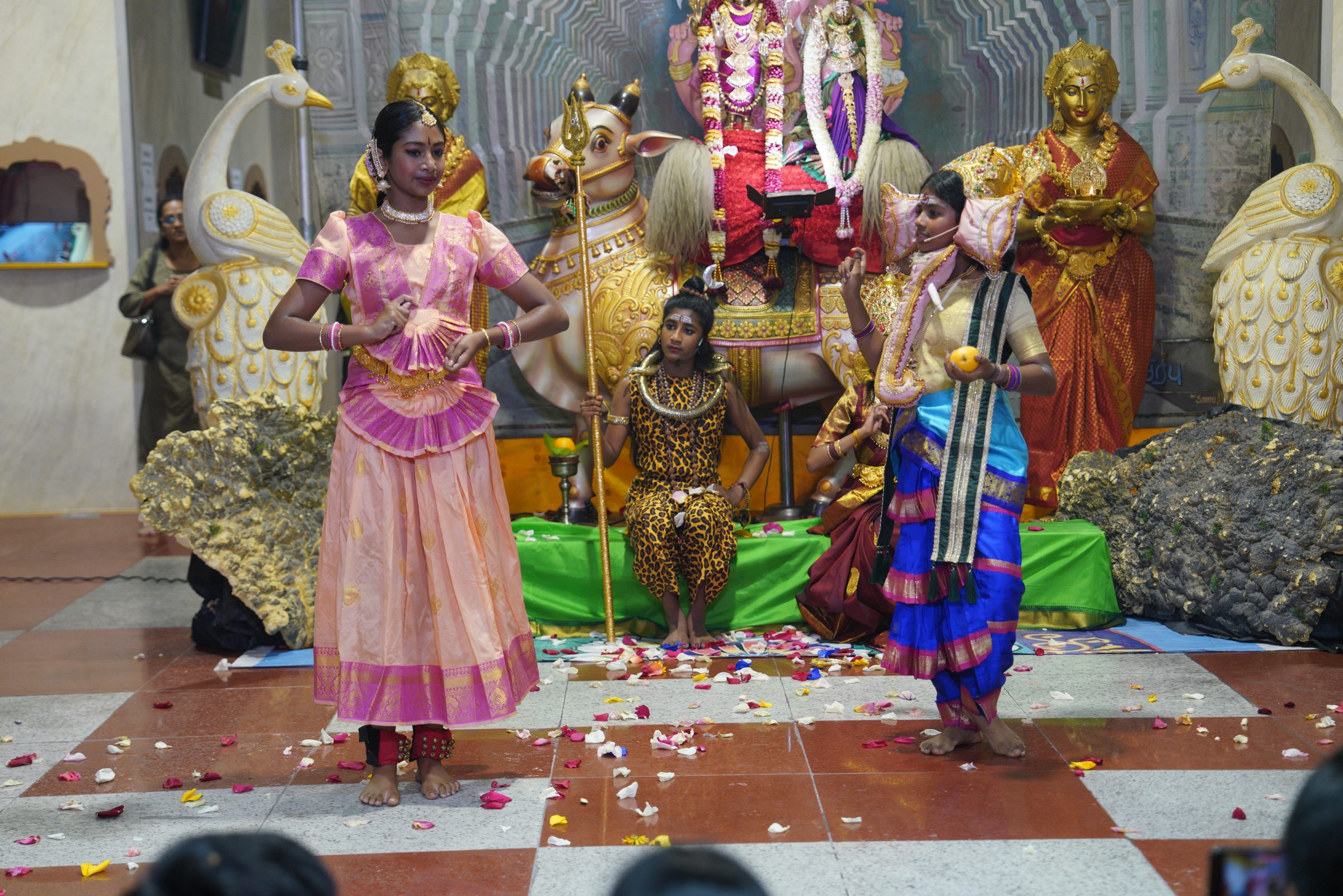 Festival 2026 photo
