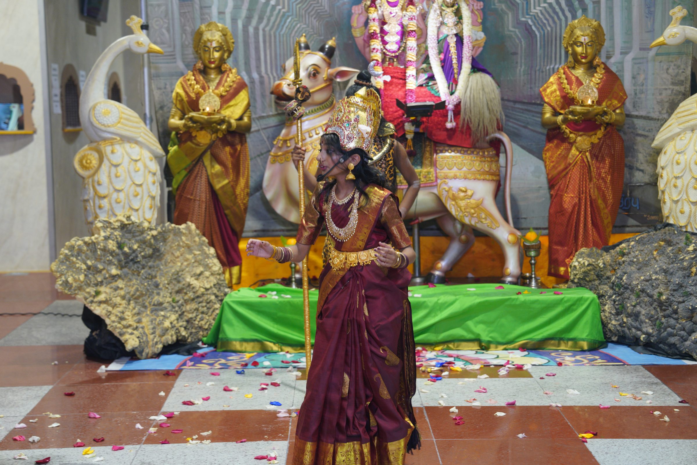 Festival 2026 photo