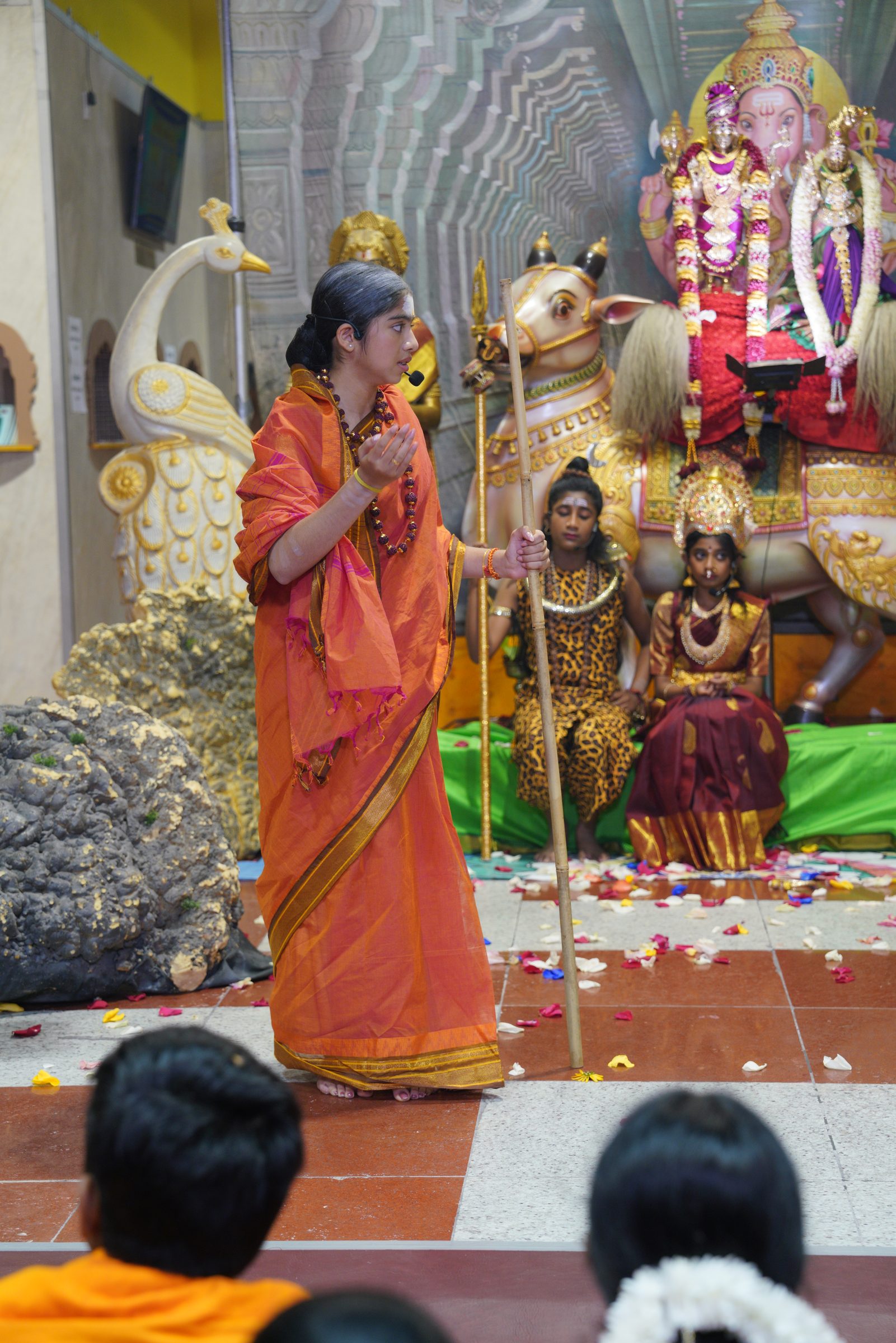 Festival 2026 photo