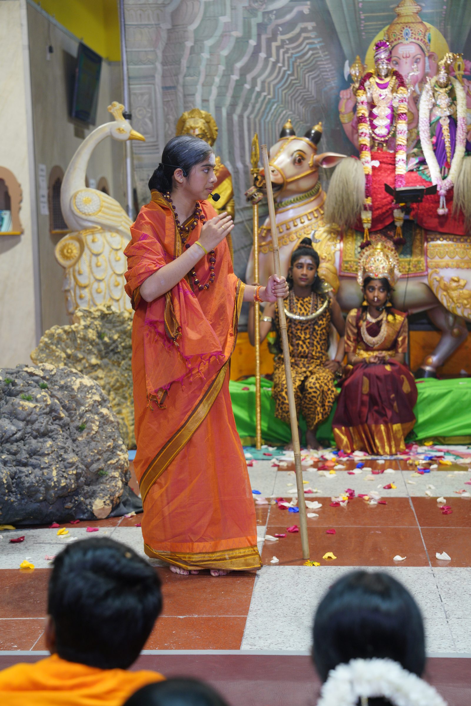 Festival 2026 photo