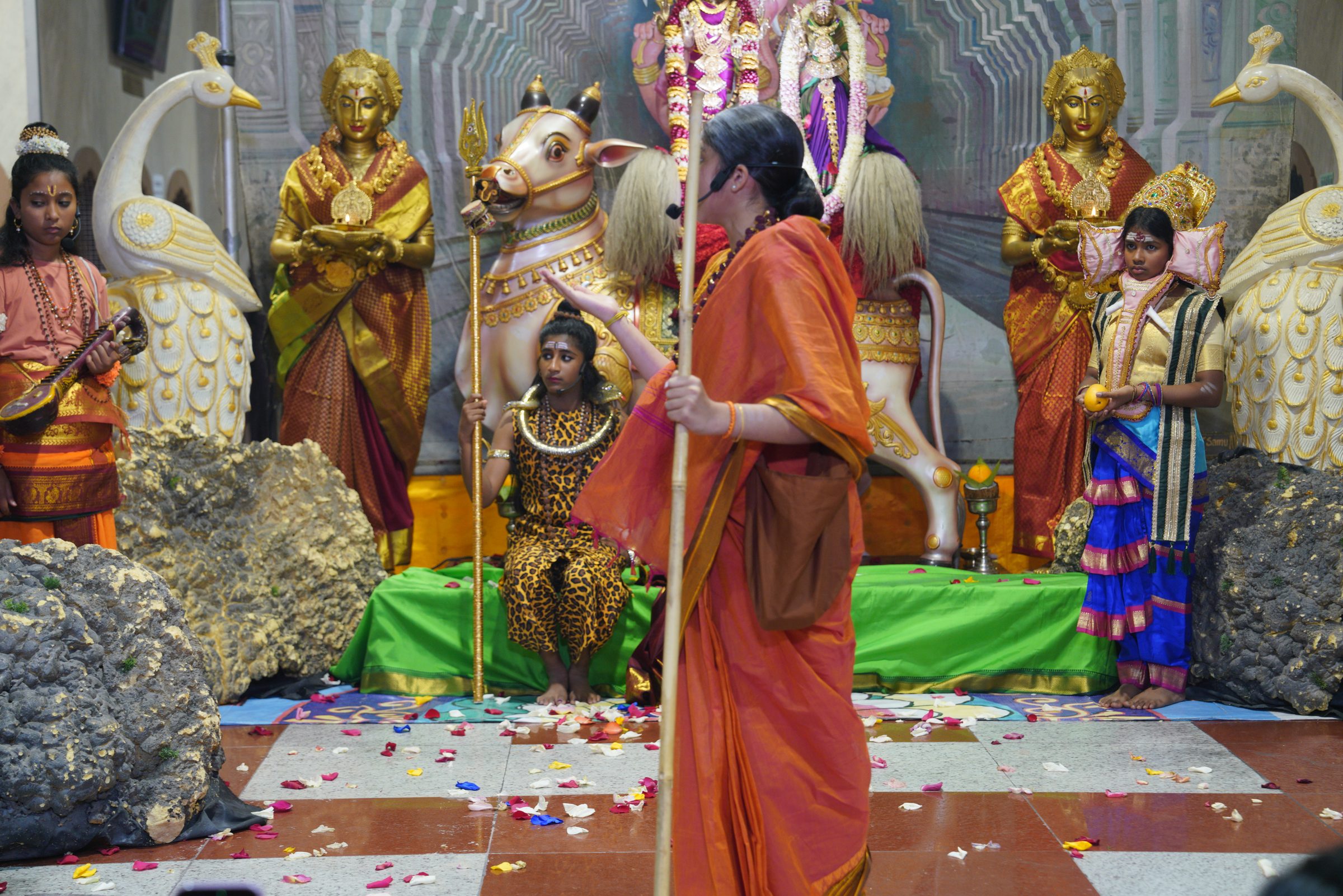 Festival 2026 photo