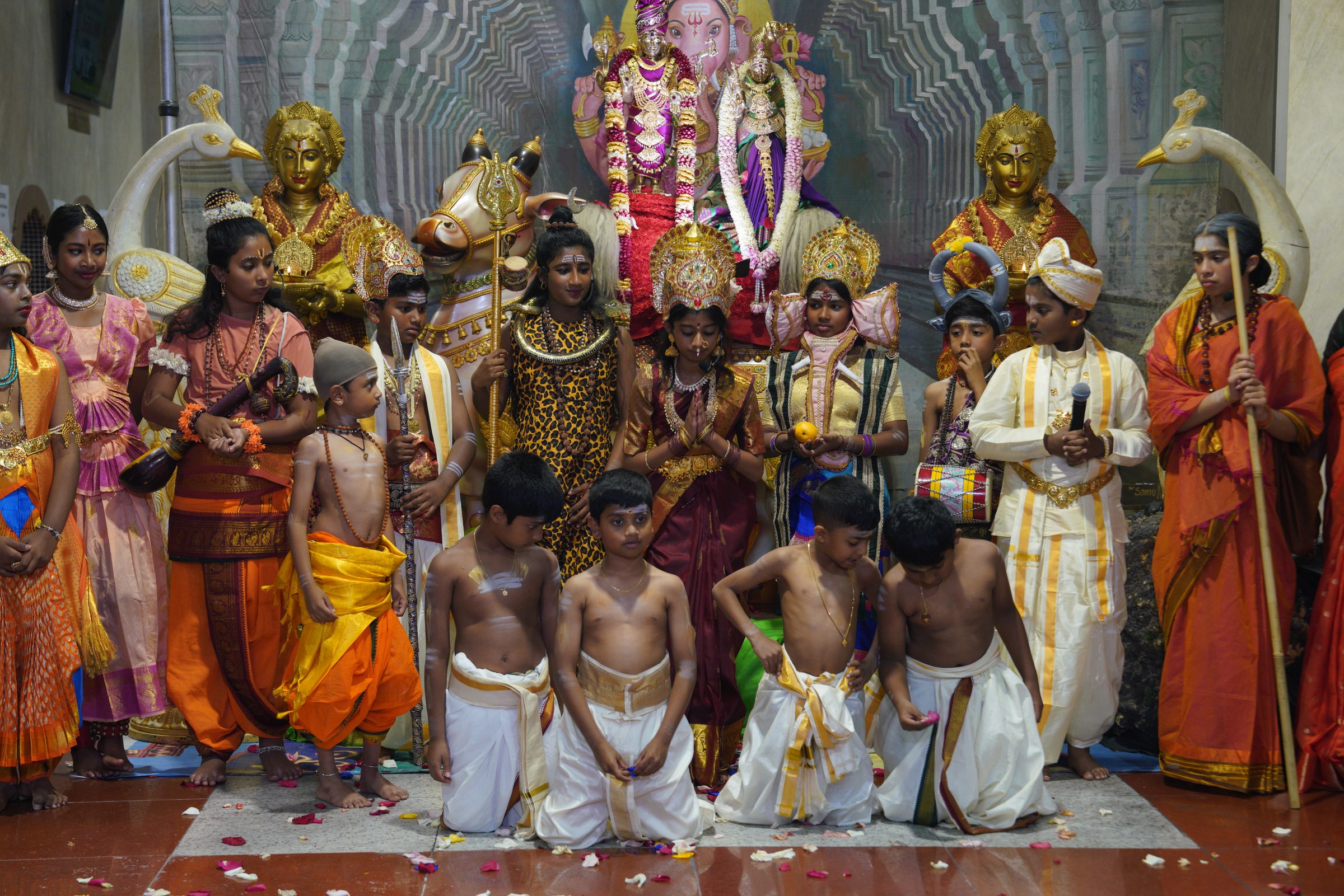 Festival 2026 photo