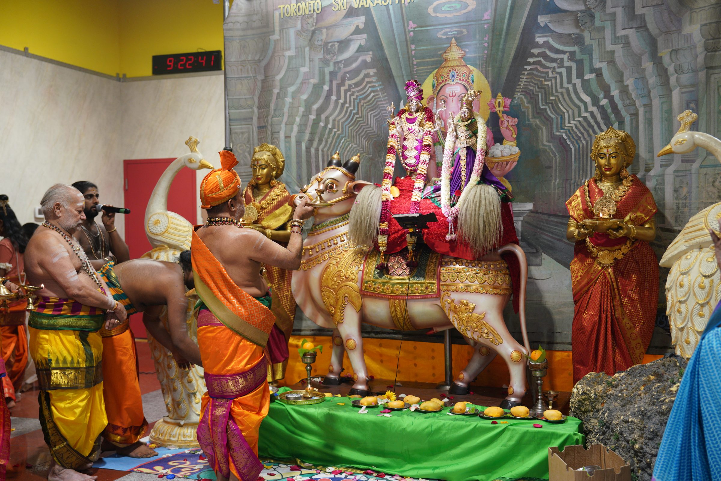 Festival 2026 photo