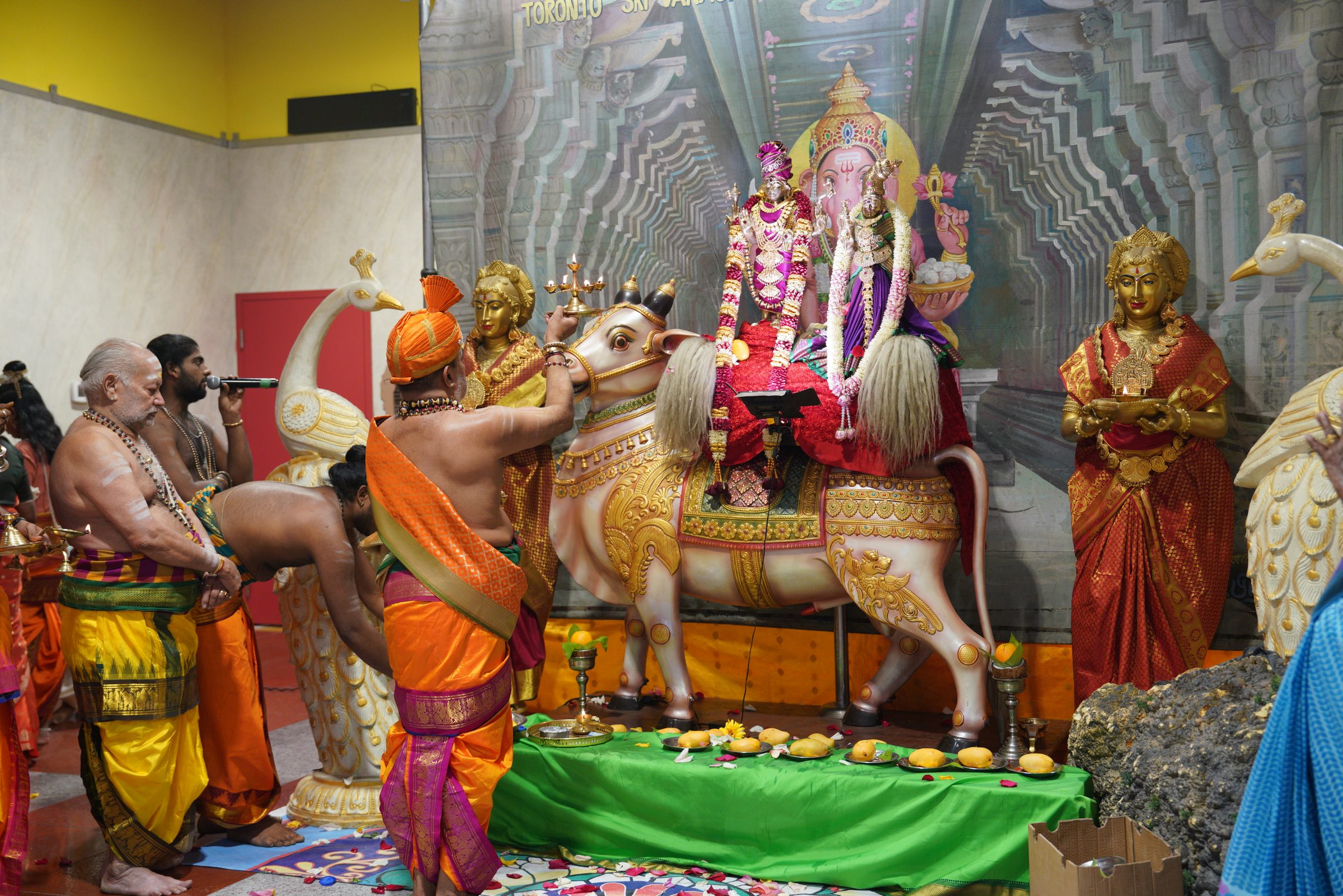 Festival 2026 photo