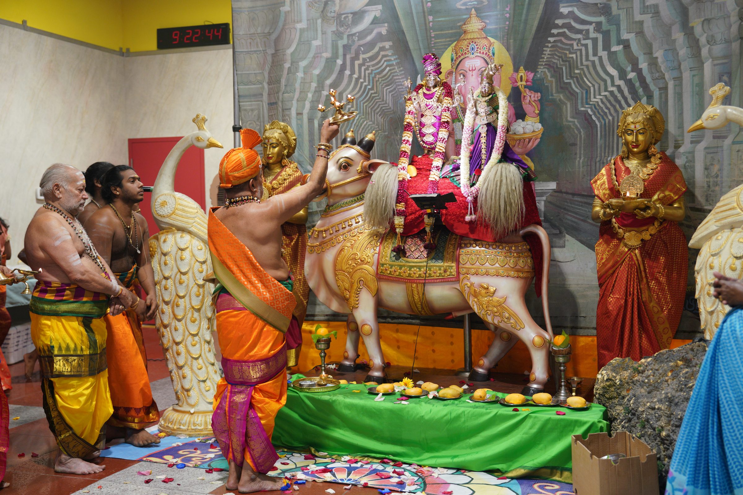 Festival 2026 photo