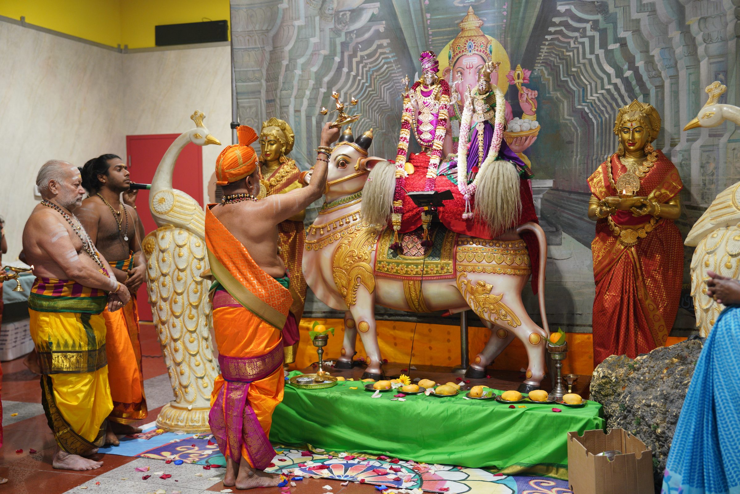 Festival 2026 photo