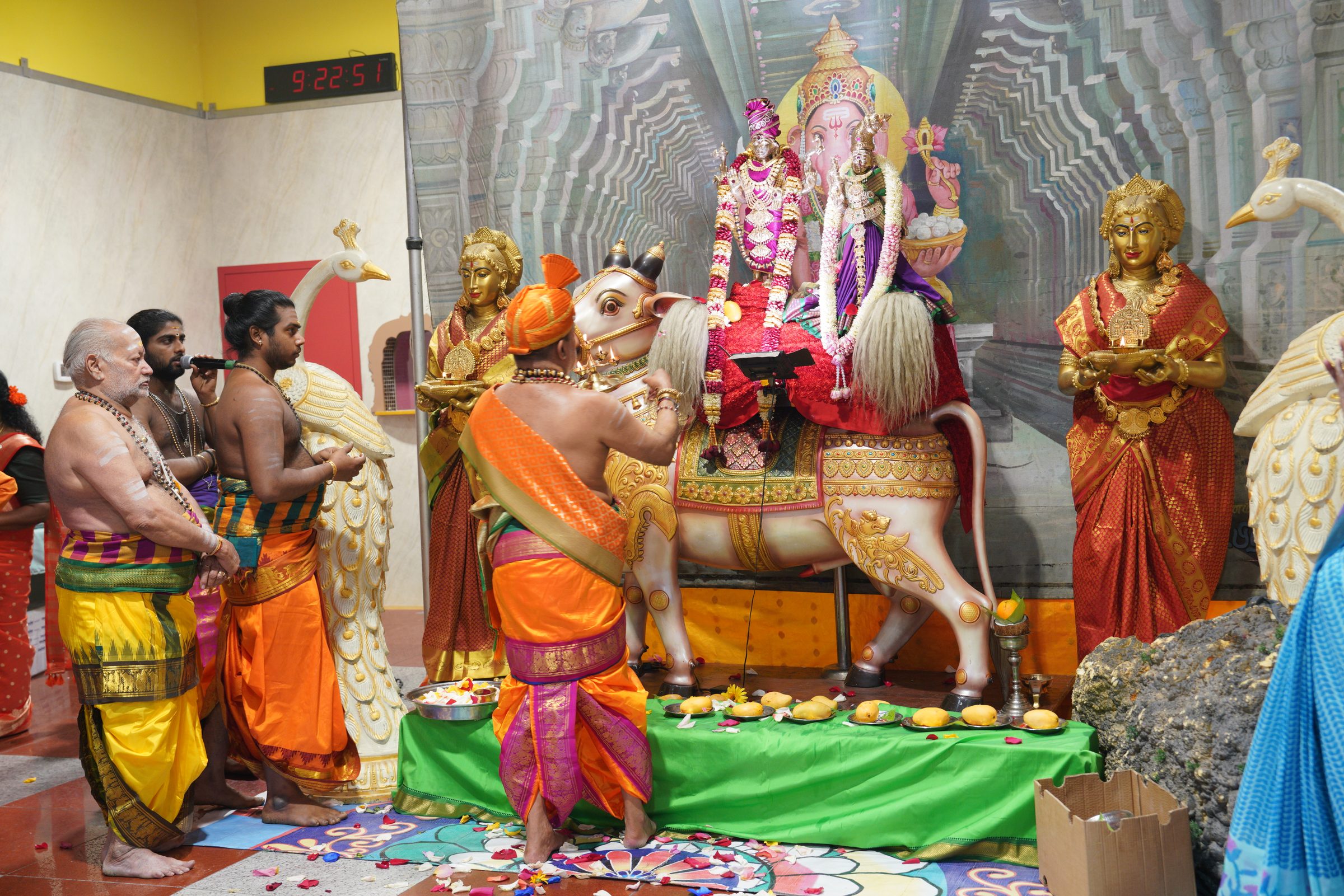 Festival 2026 photo