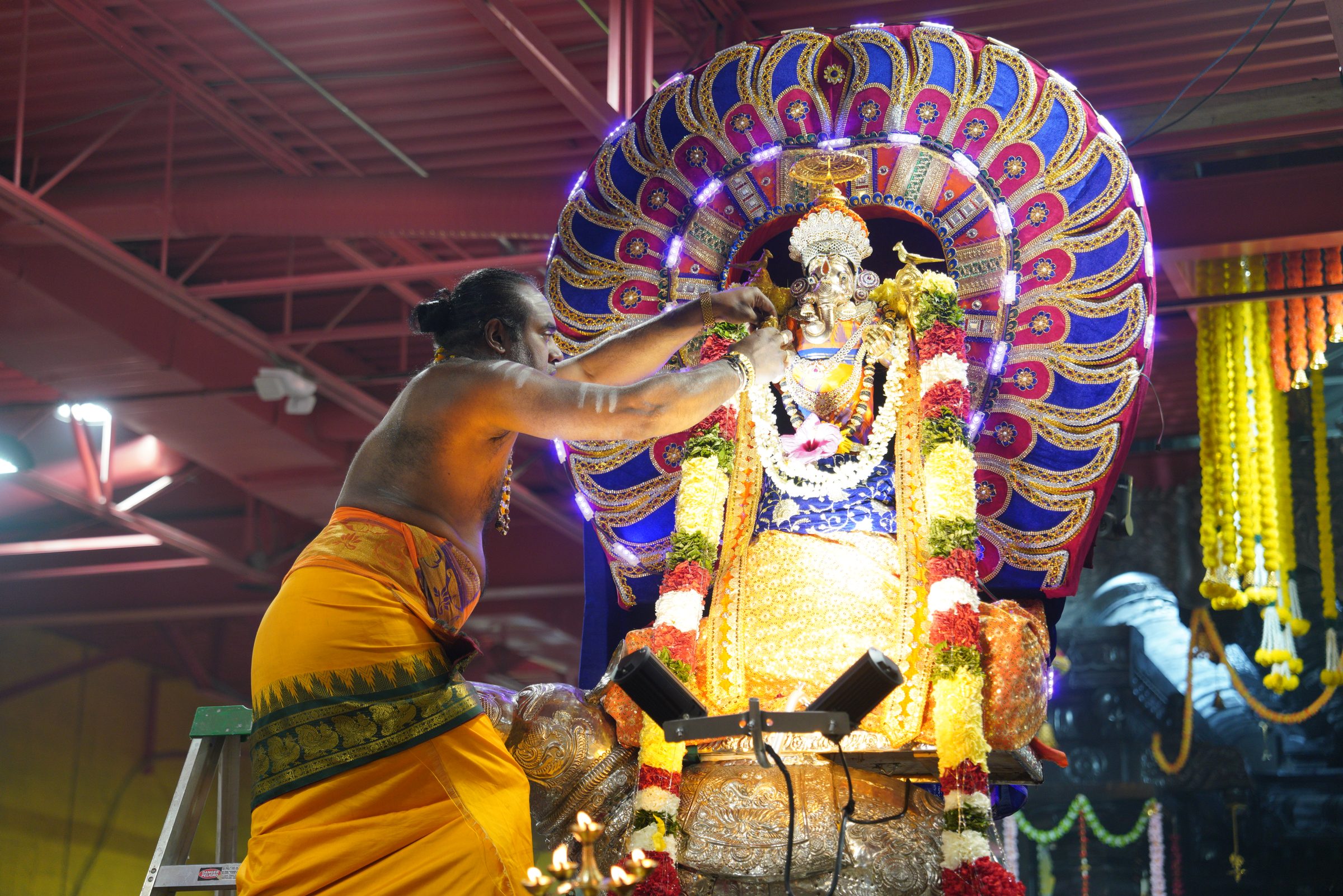 Festival 2026 photo