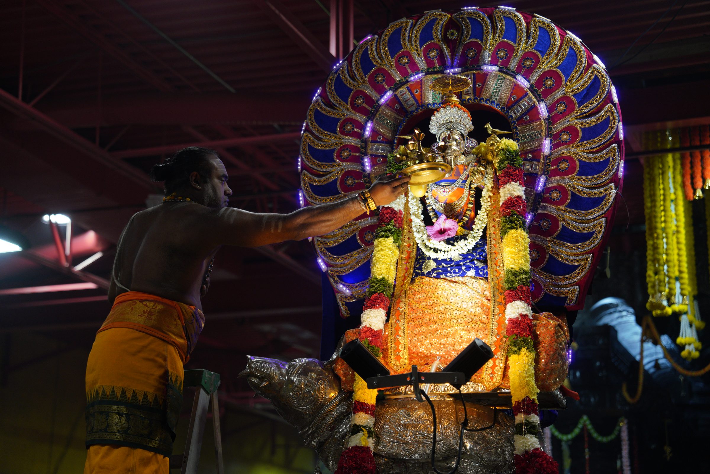 Festival 2026 photo