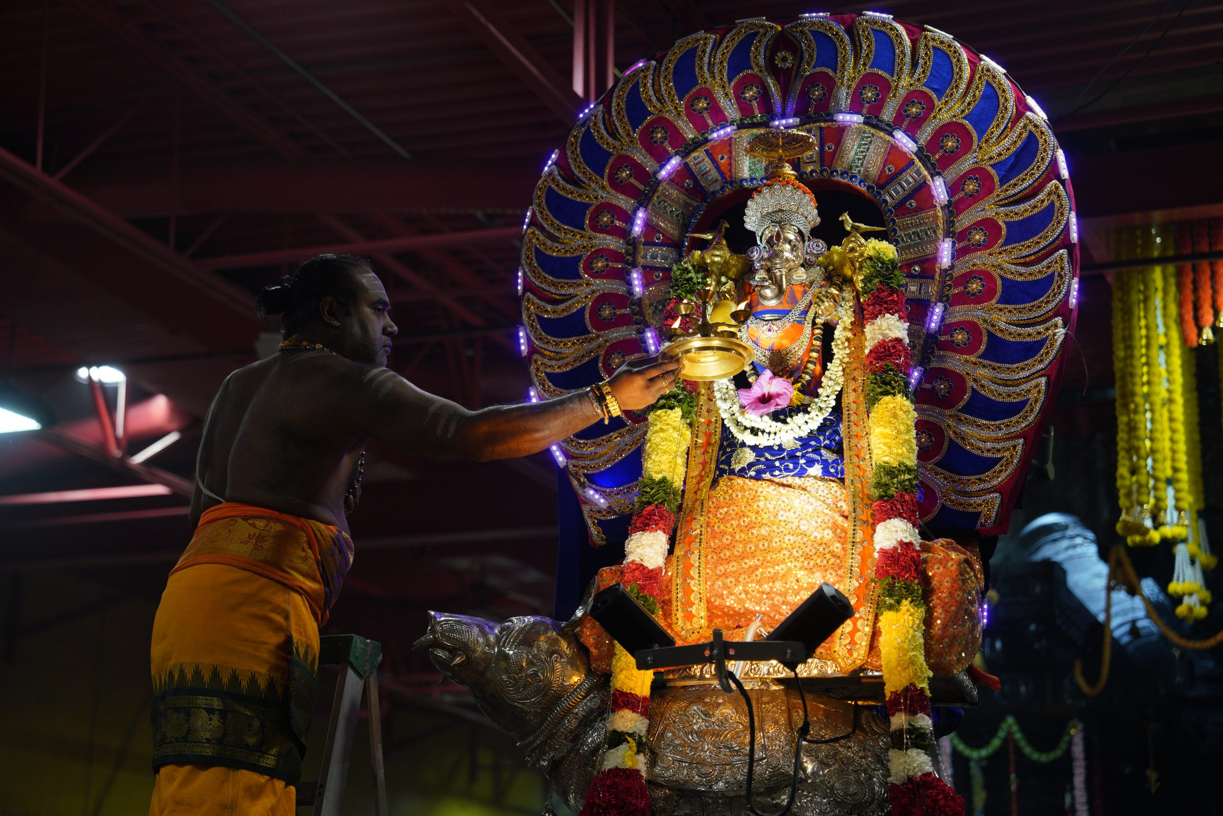 Festival 2026 photo