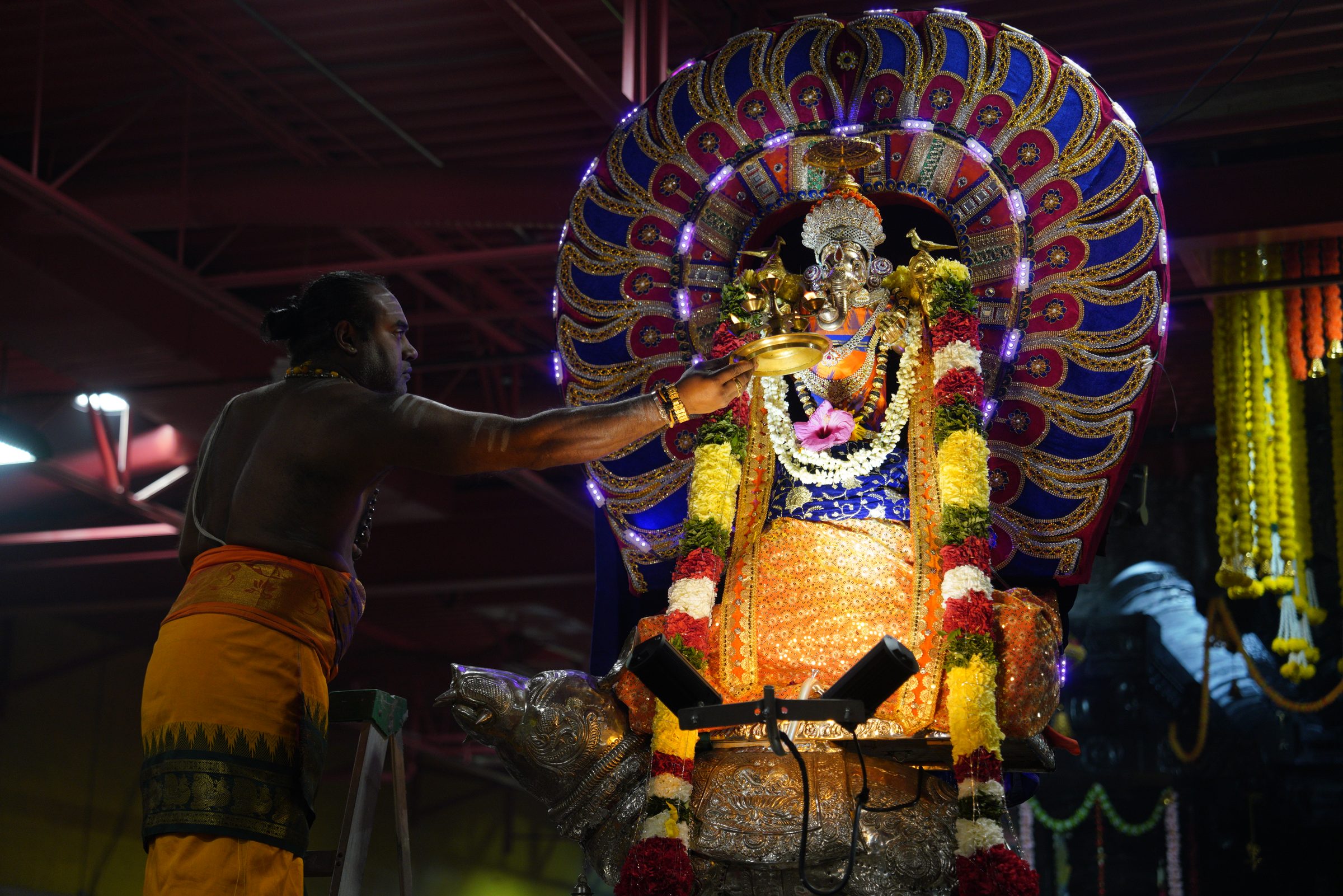 Festival 2026 photo