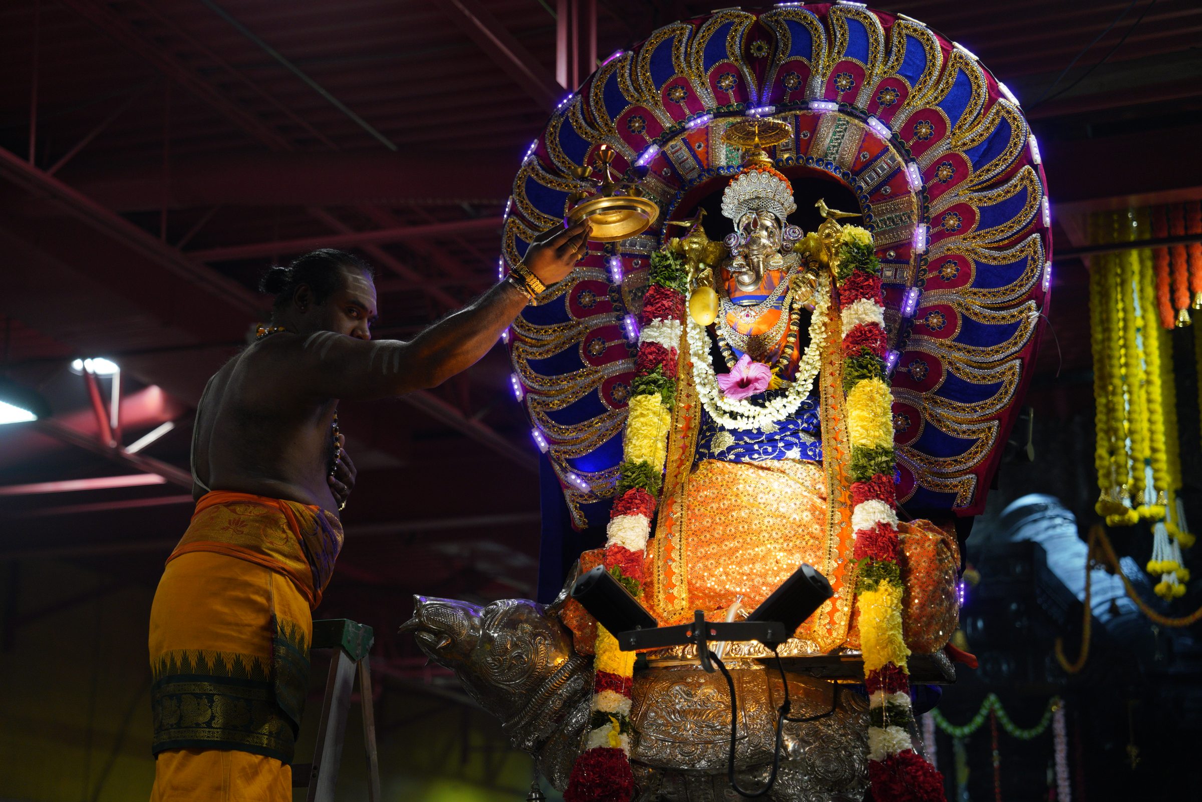 Festival 2026 photo