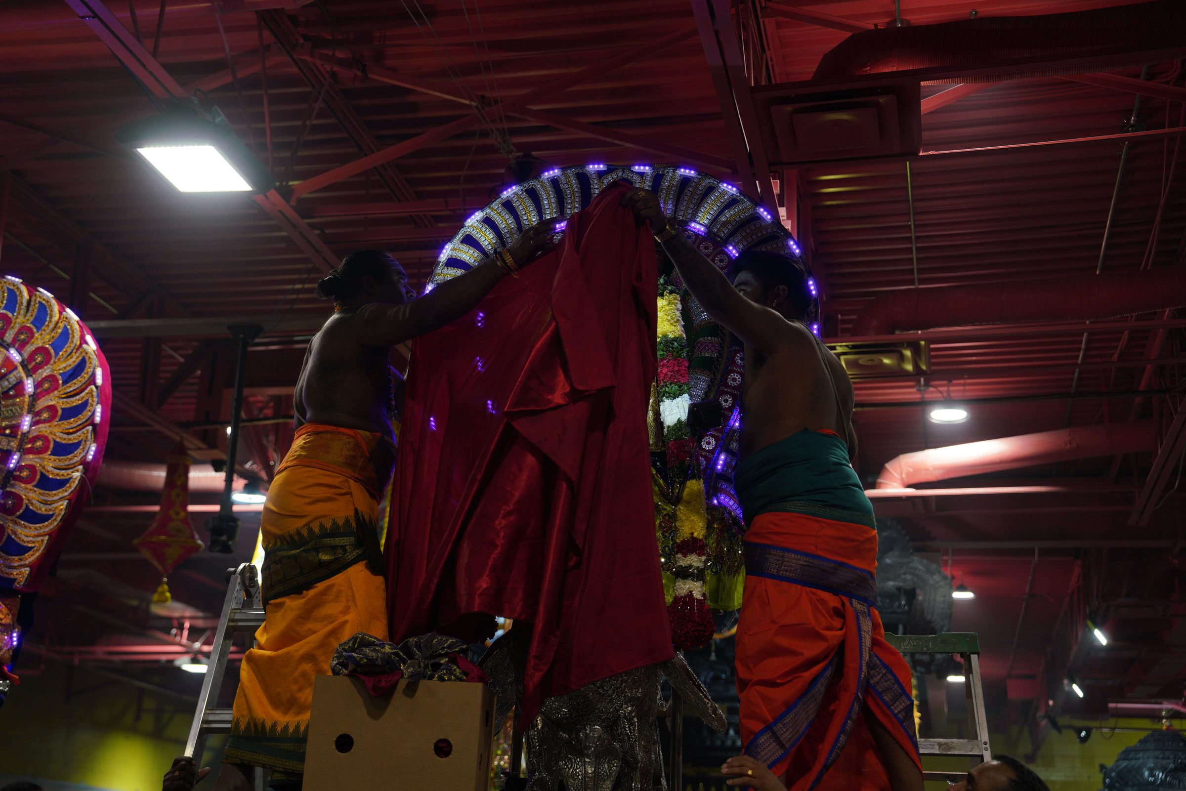 Festival 2026 photo