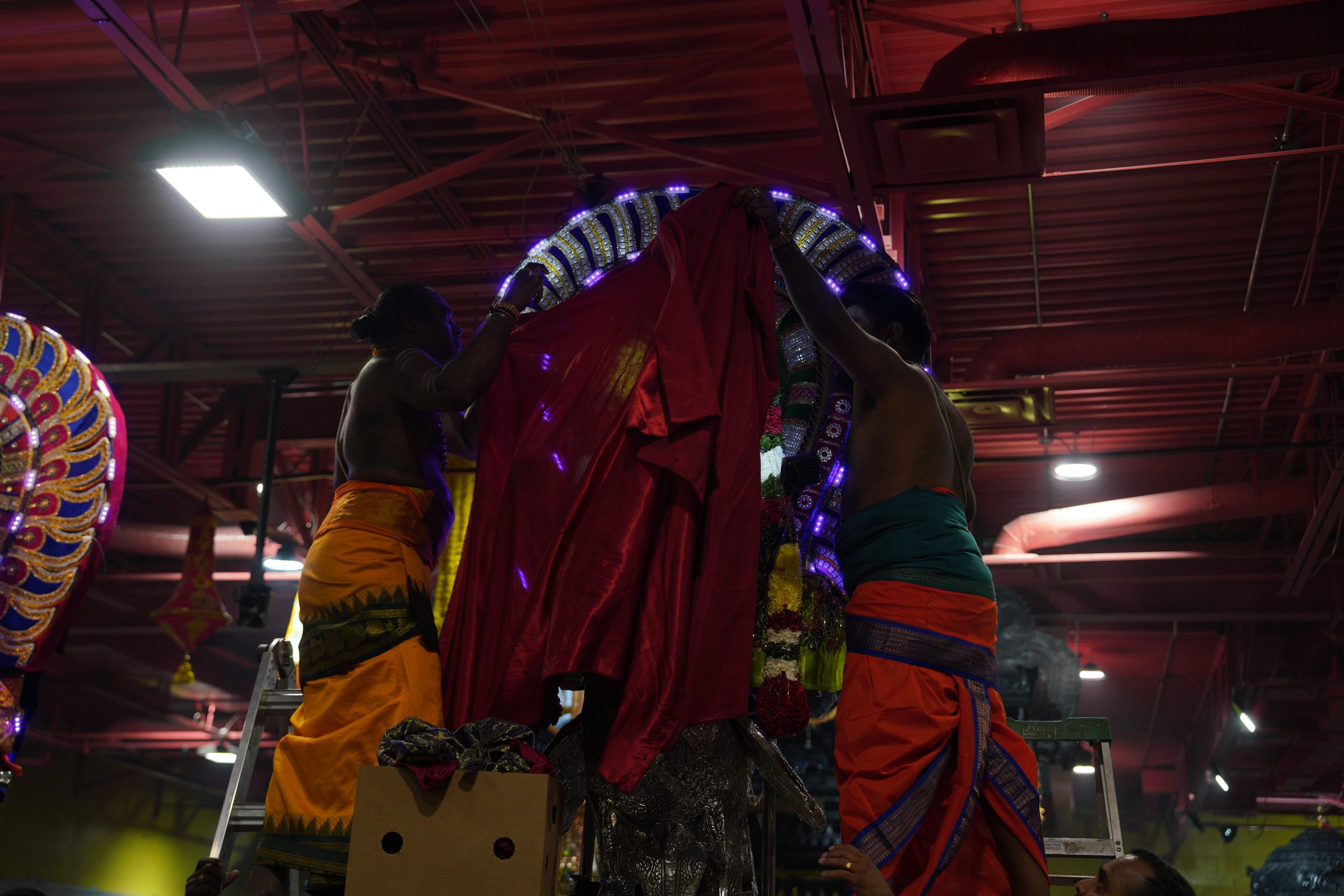 Festival 2026 photo