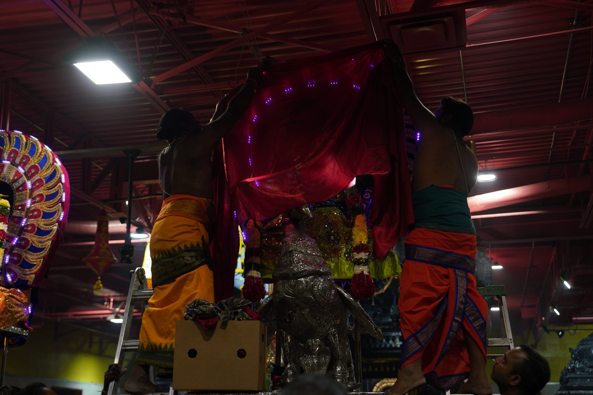 Festival 2026 photo