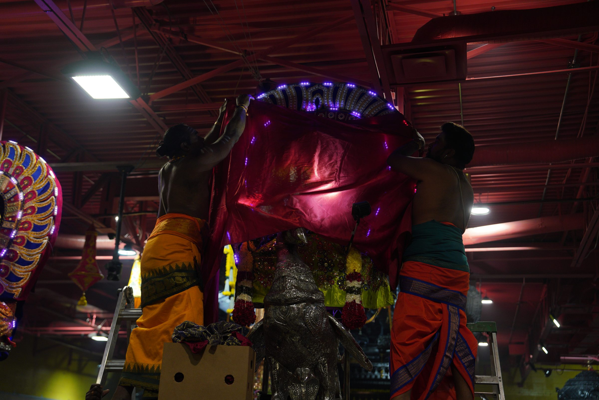 Festival 2026 photo