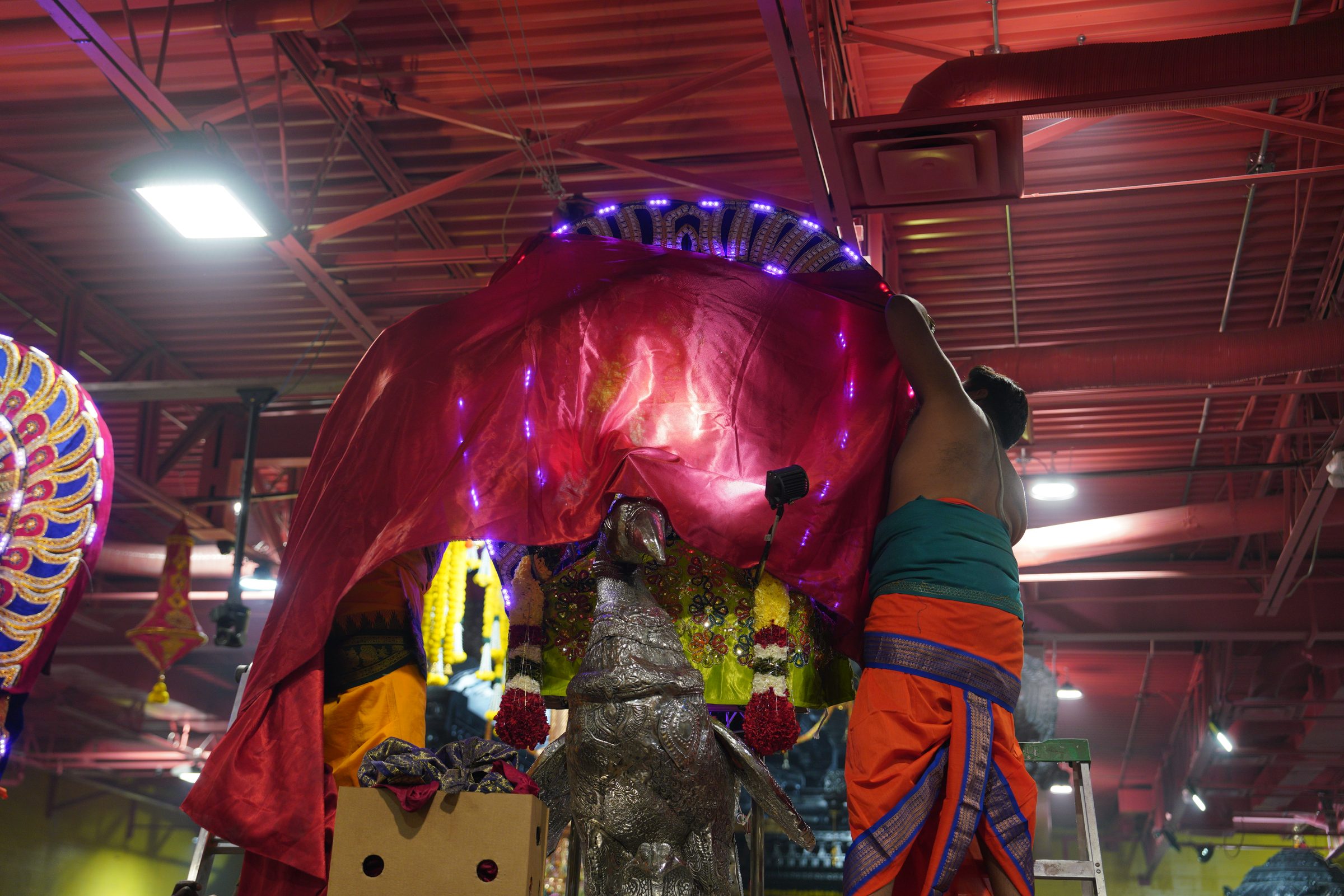 Festival 2026 photo