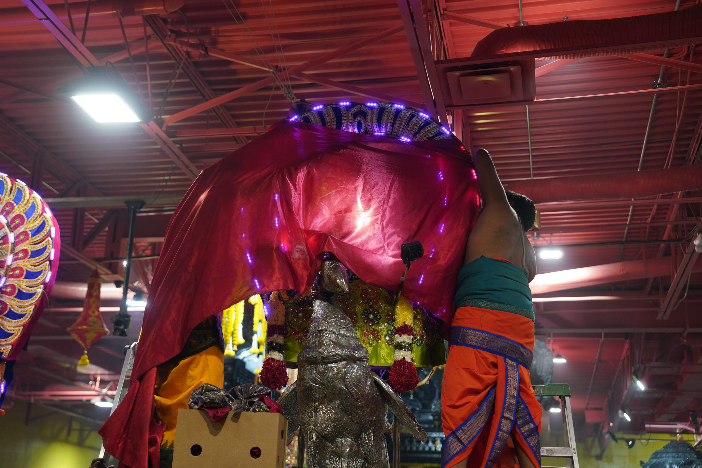 Festival 2026 photo