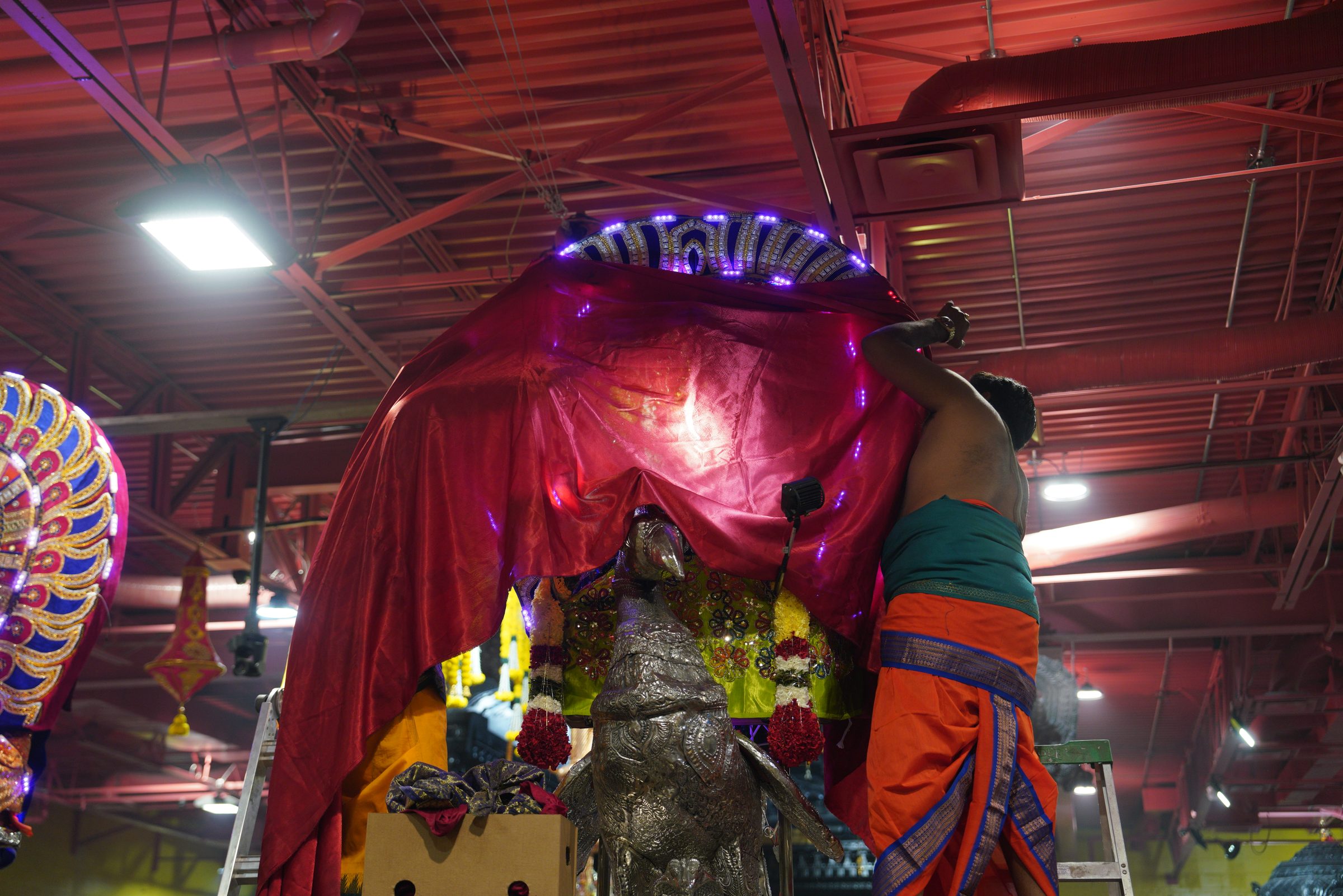 Festival 2026 photo
