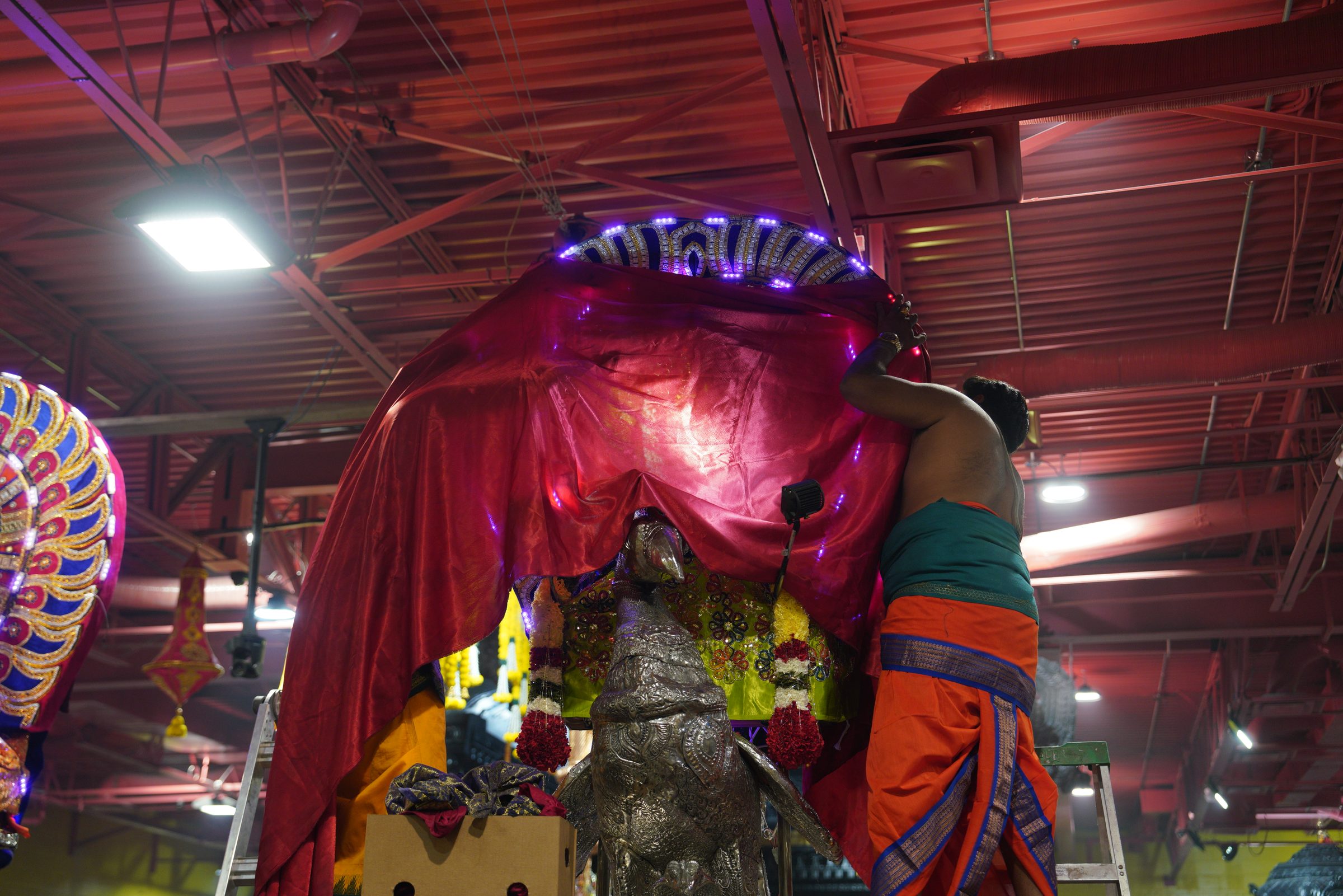 Festival 2026 photo