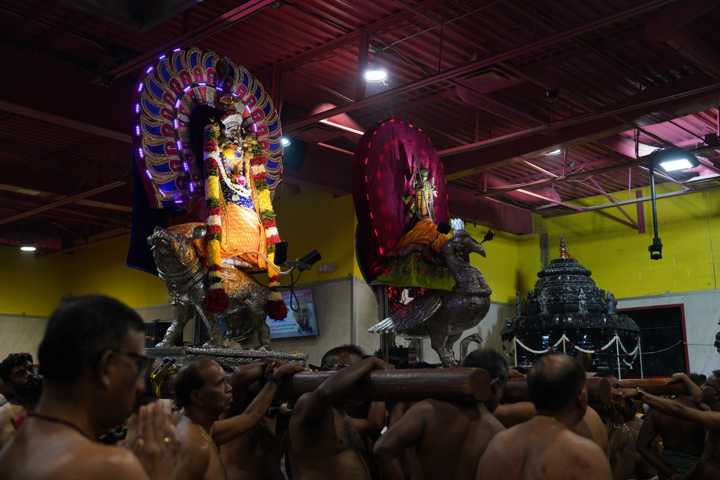 Festival 2026 photo