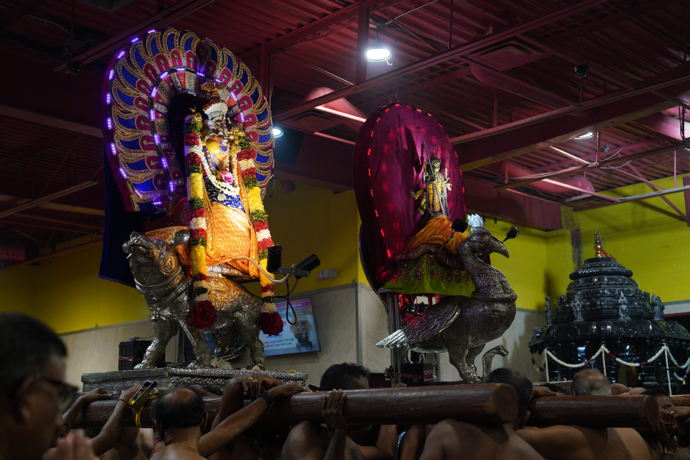 Festival 2026 photo