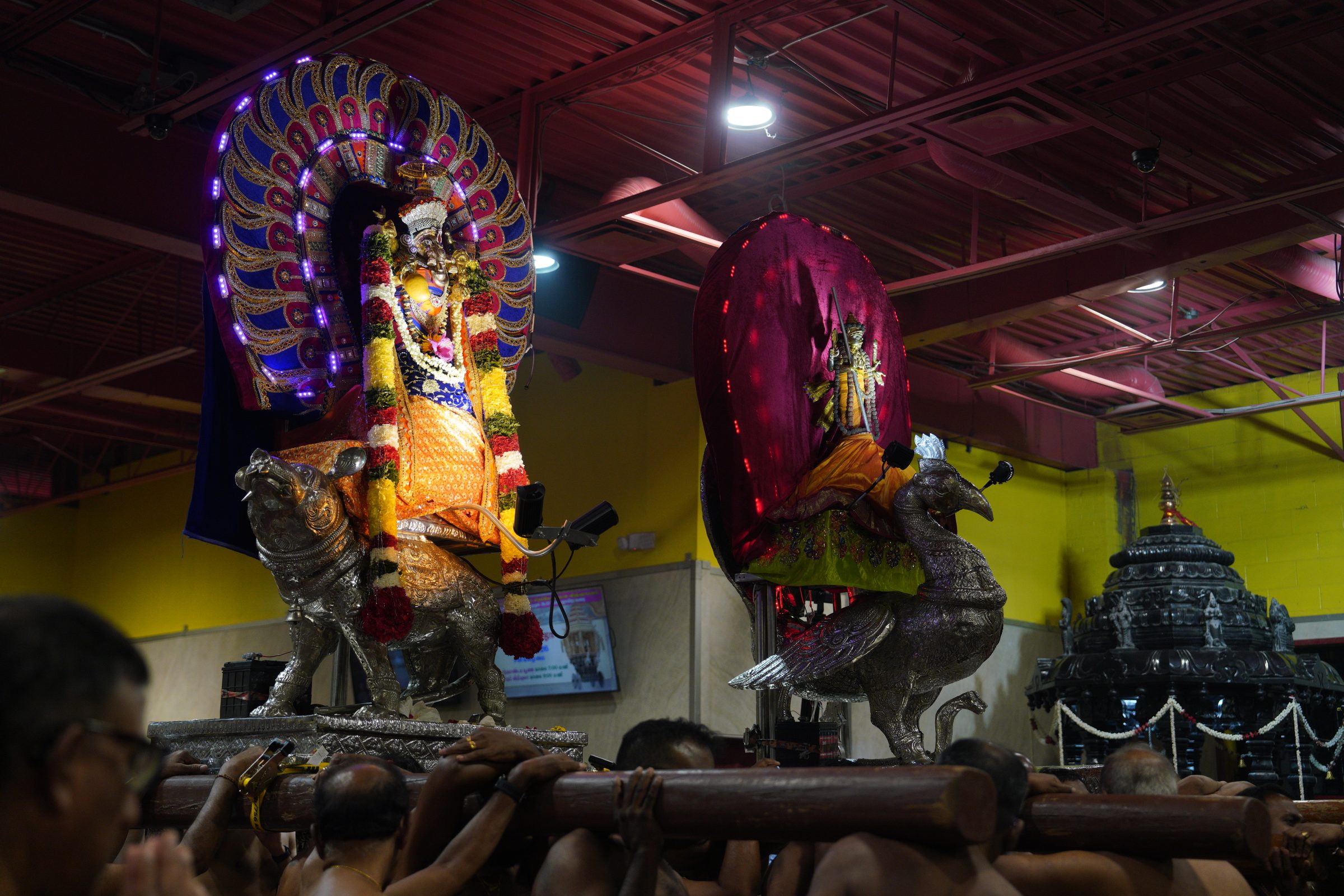 Festival 2026 photo