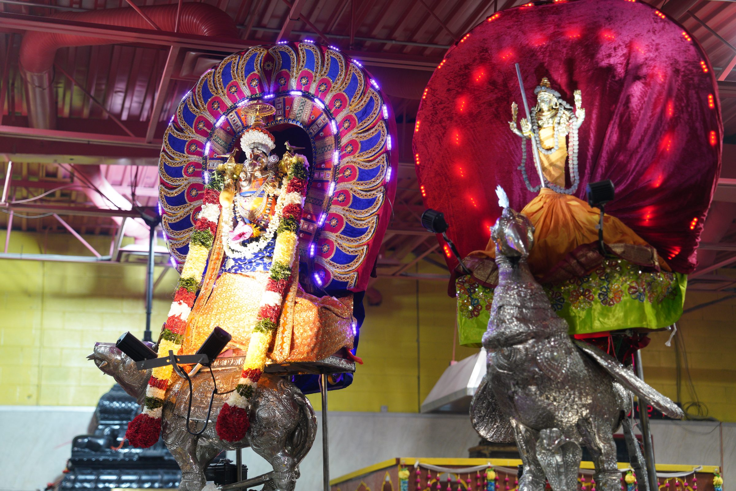 Festival 2026 photo