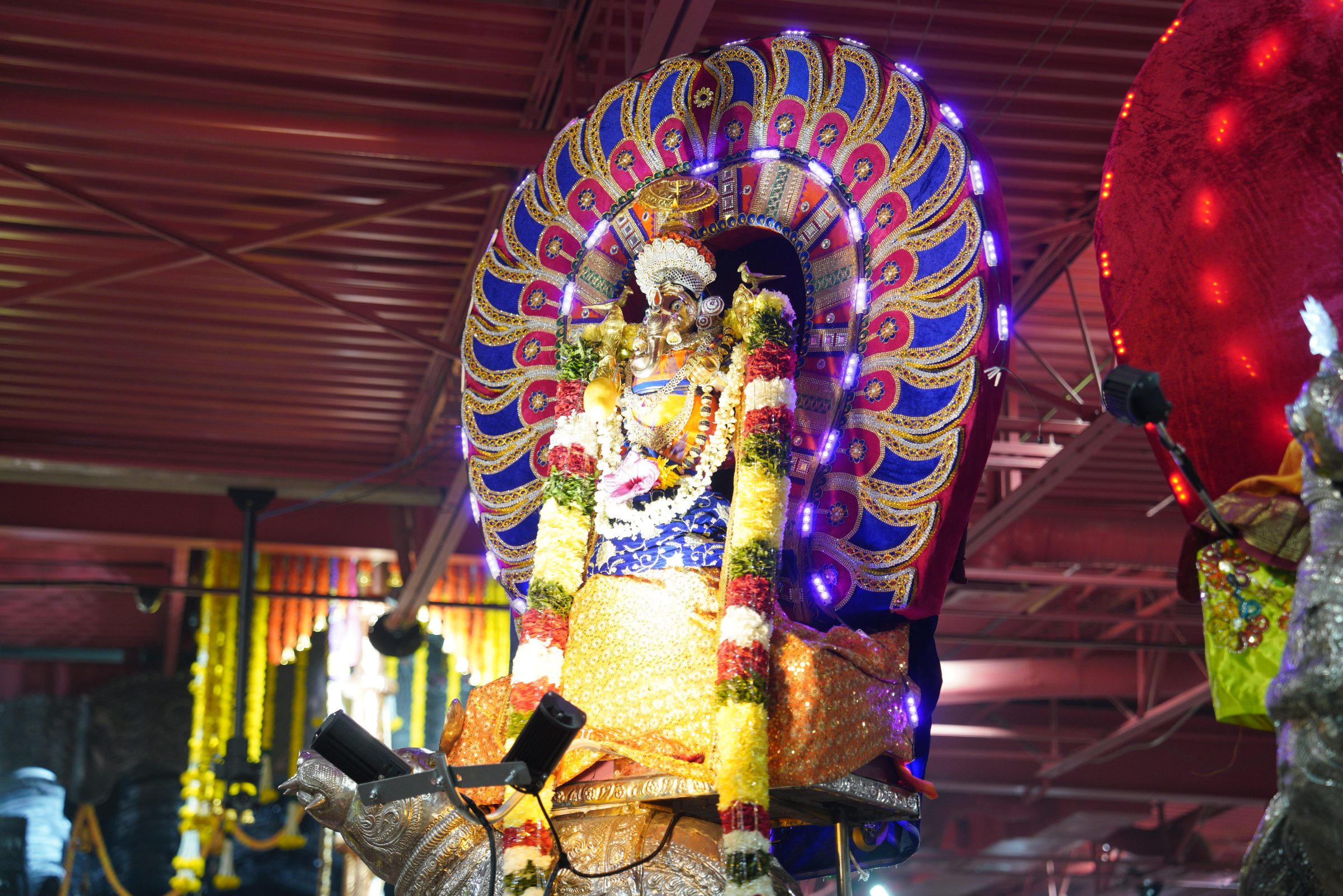 Festival 2026 photo