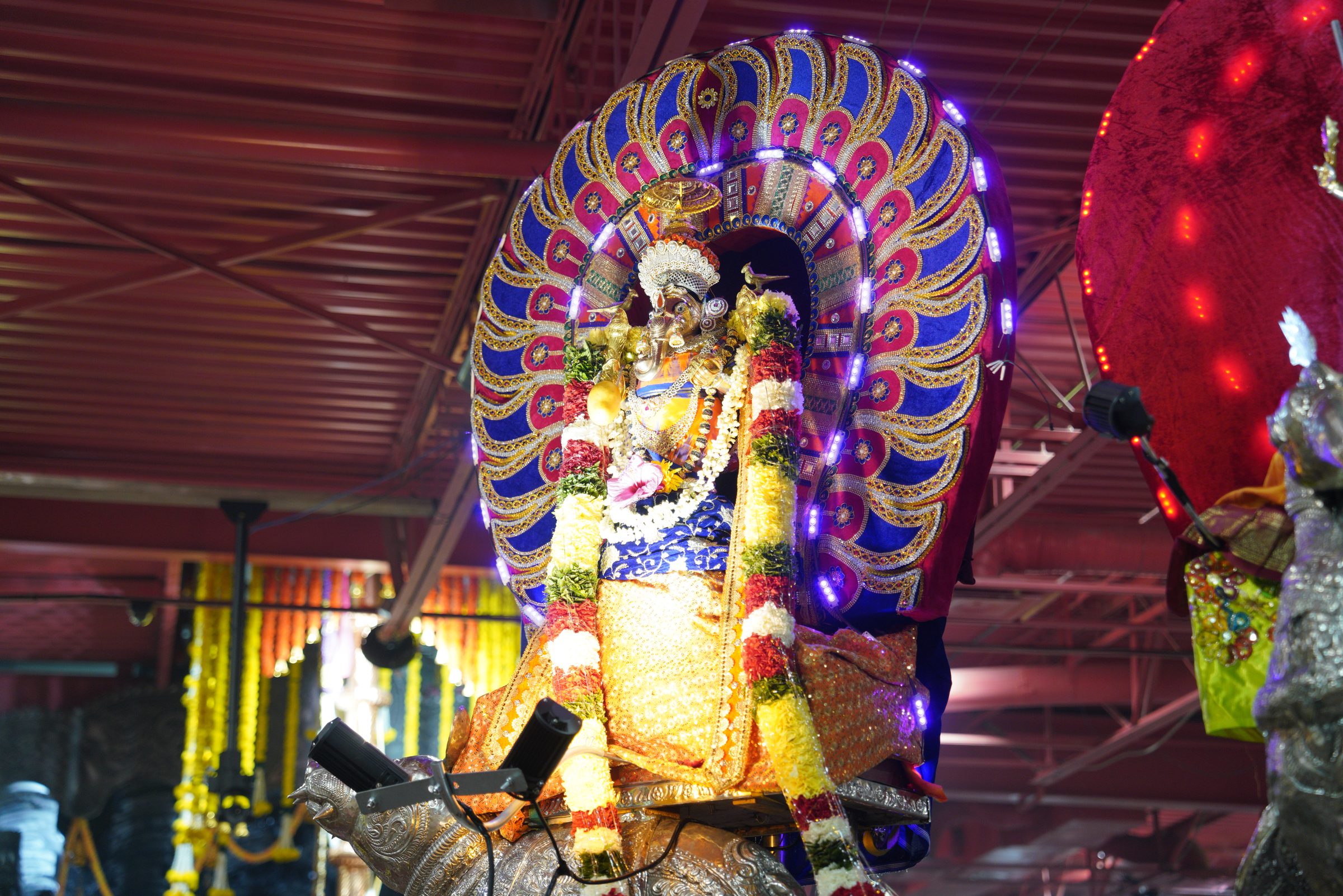 Festival 2026 photo