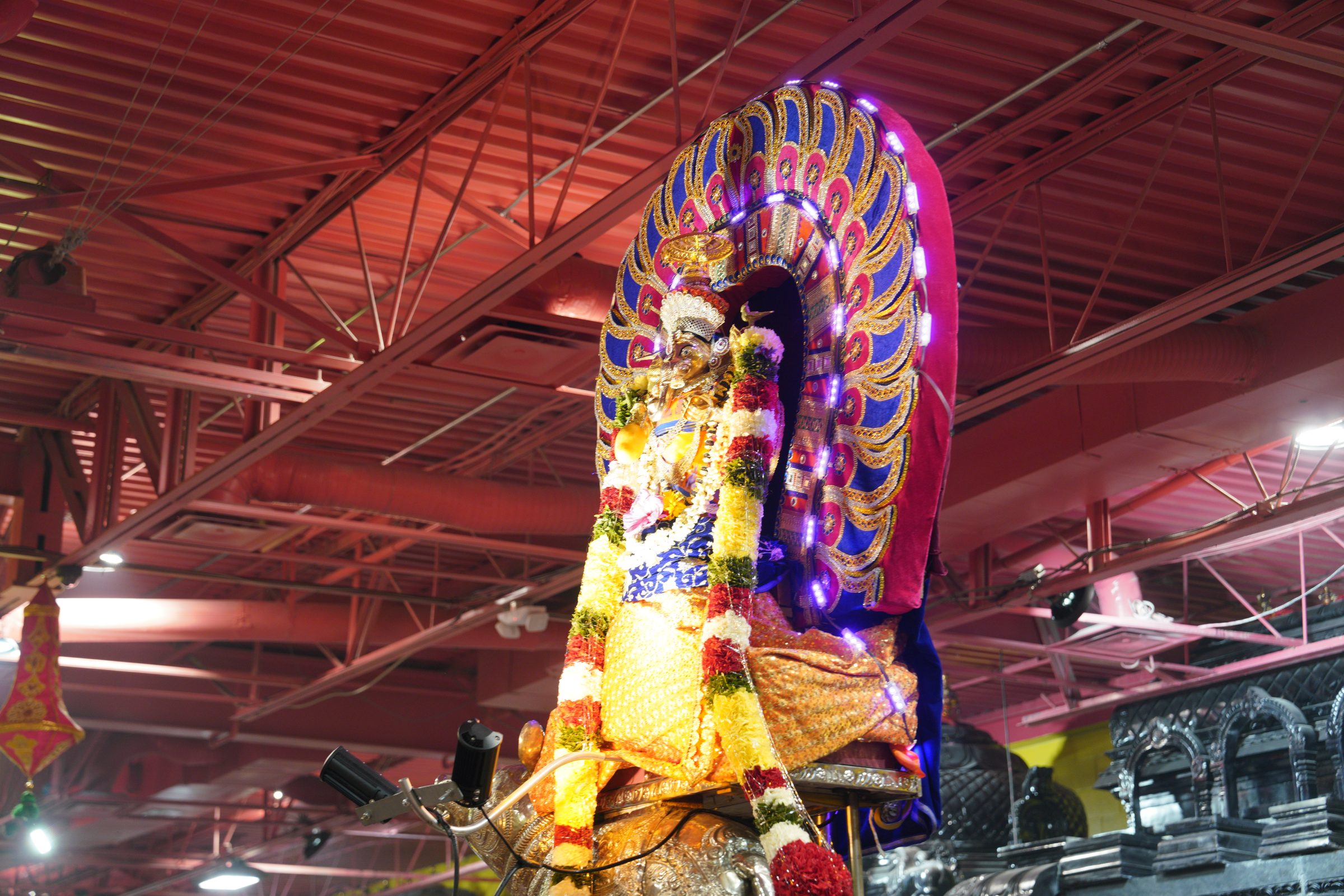 Festival 2026 photo