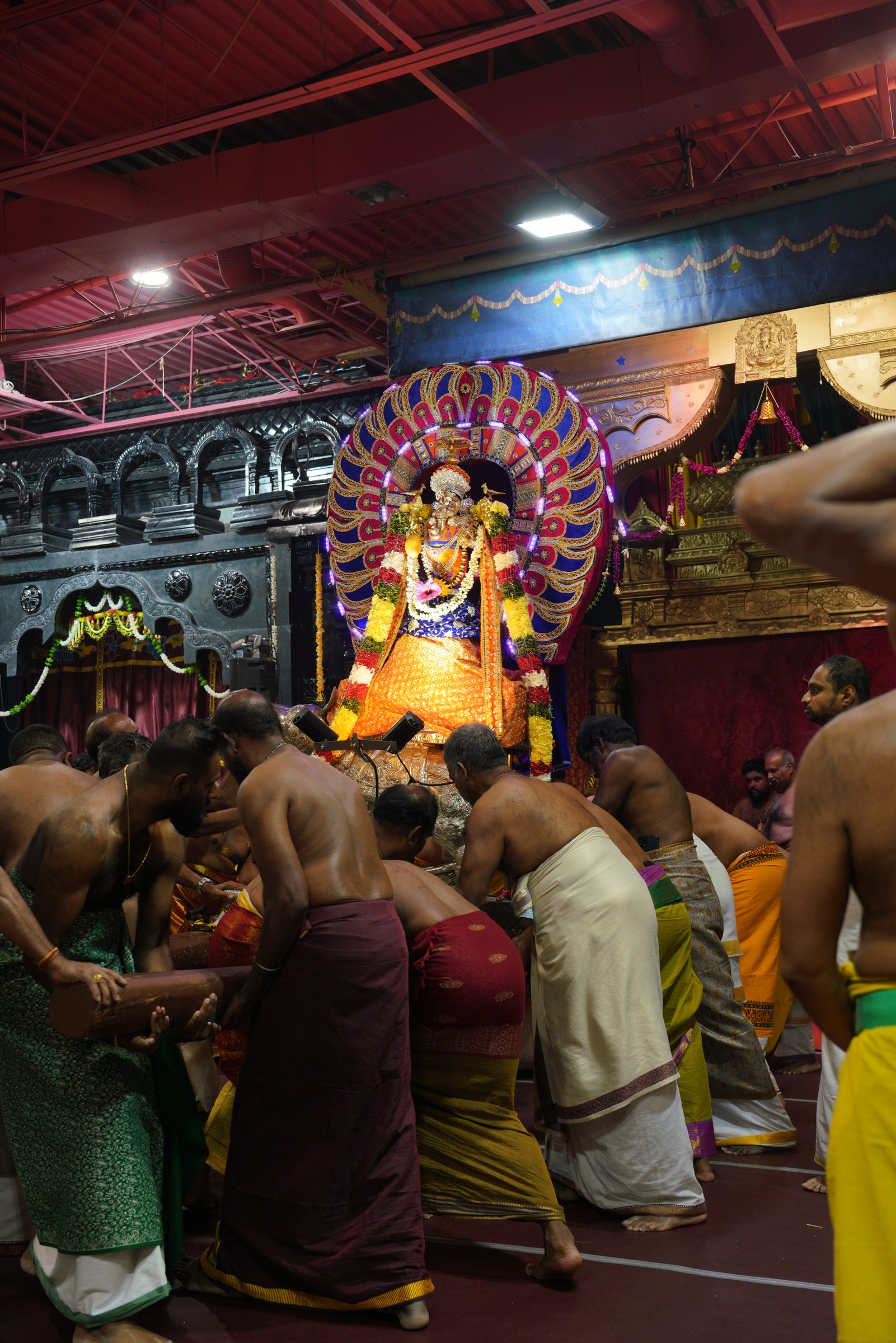 Festival 2026 photo