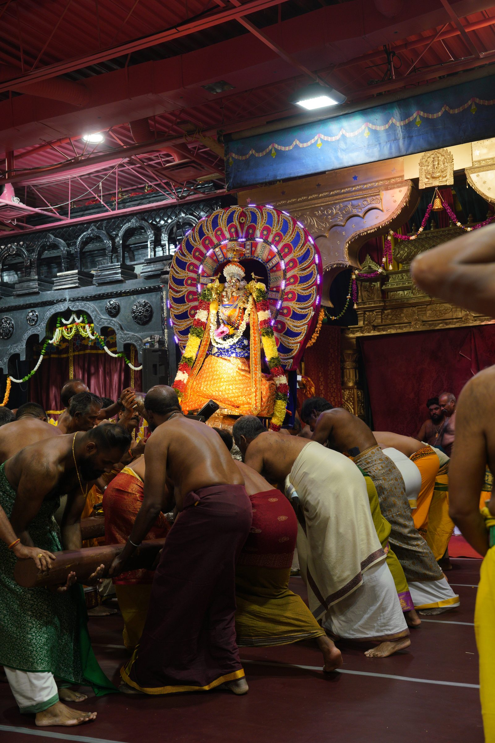 Festival 2026 photo