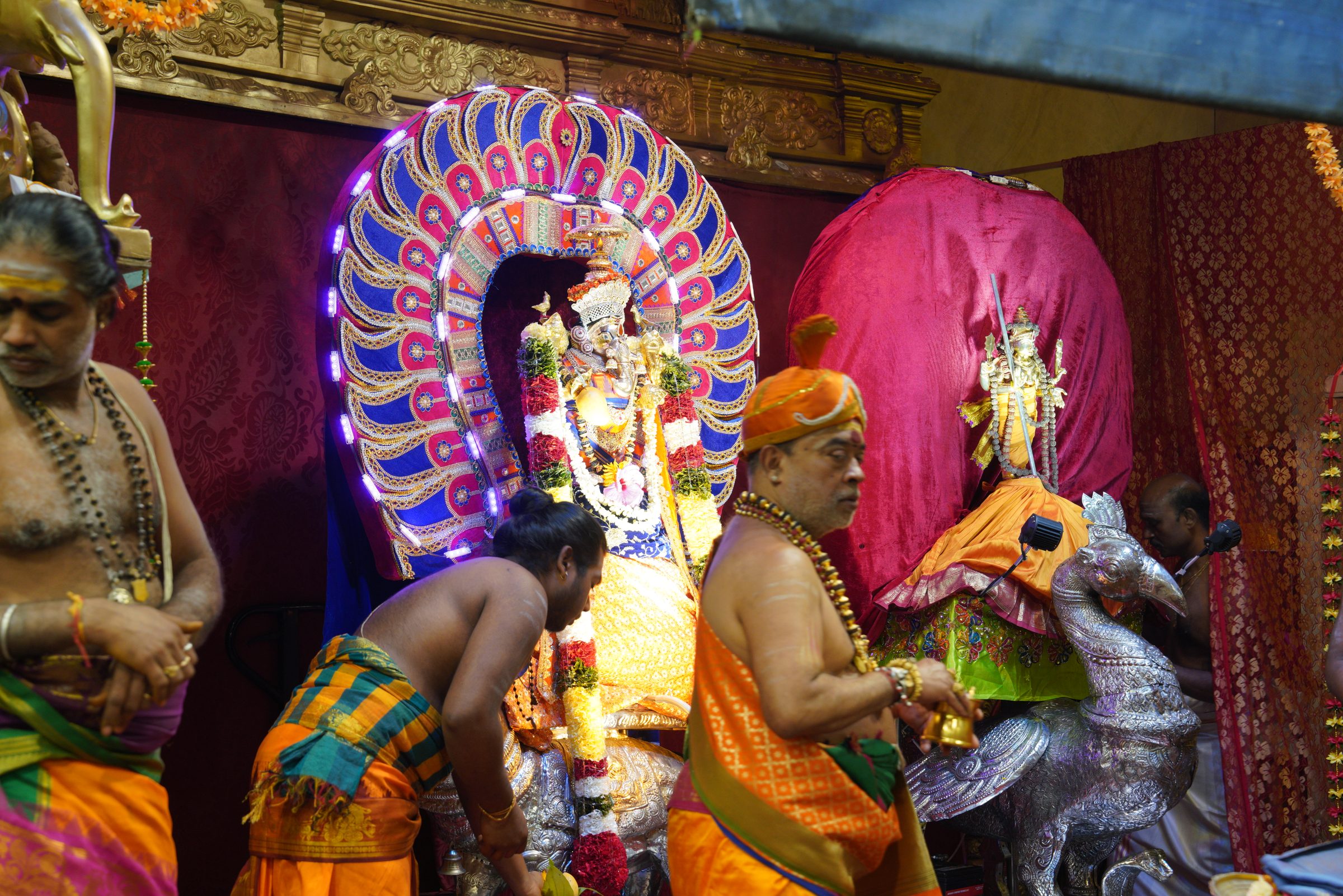 Festival 2026 photo