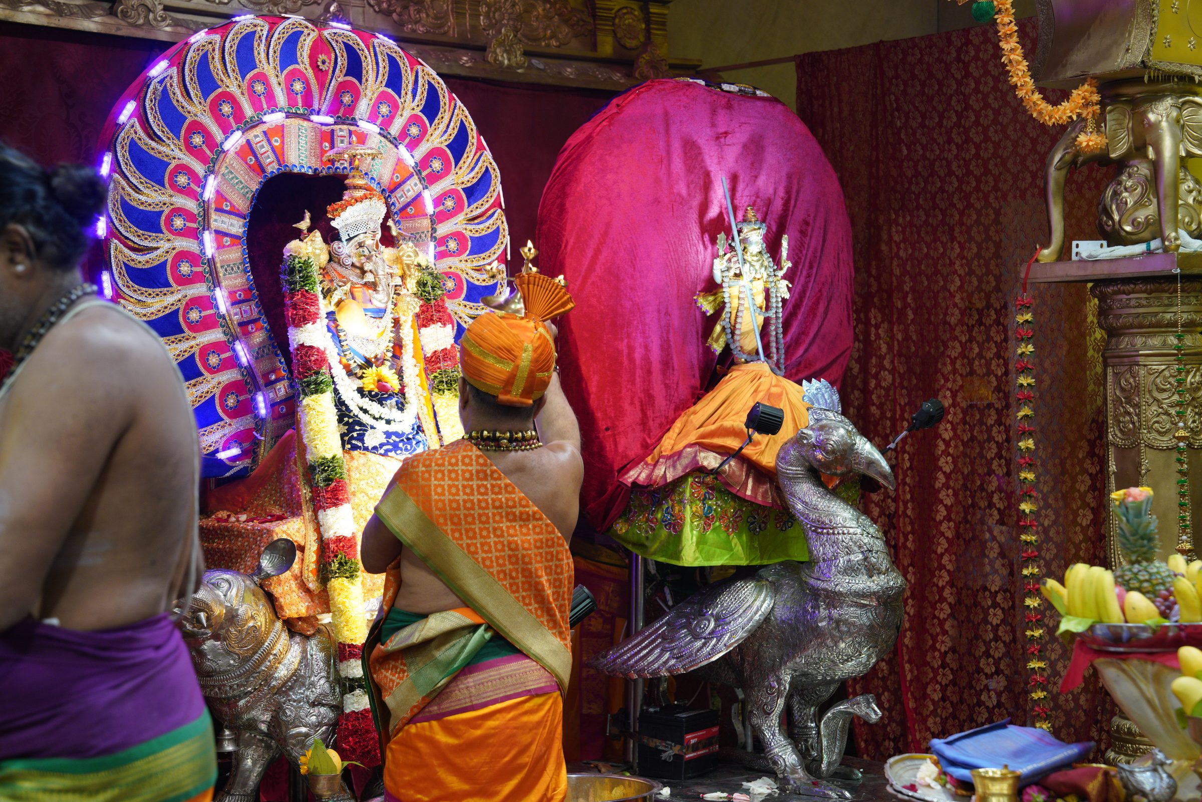 Festival 2026 photo